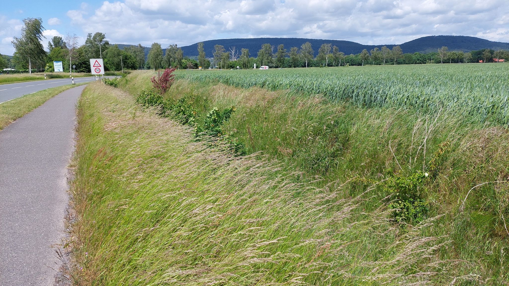 Wind-Check….oh ja…das wird spaßig