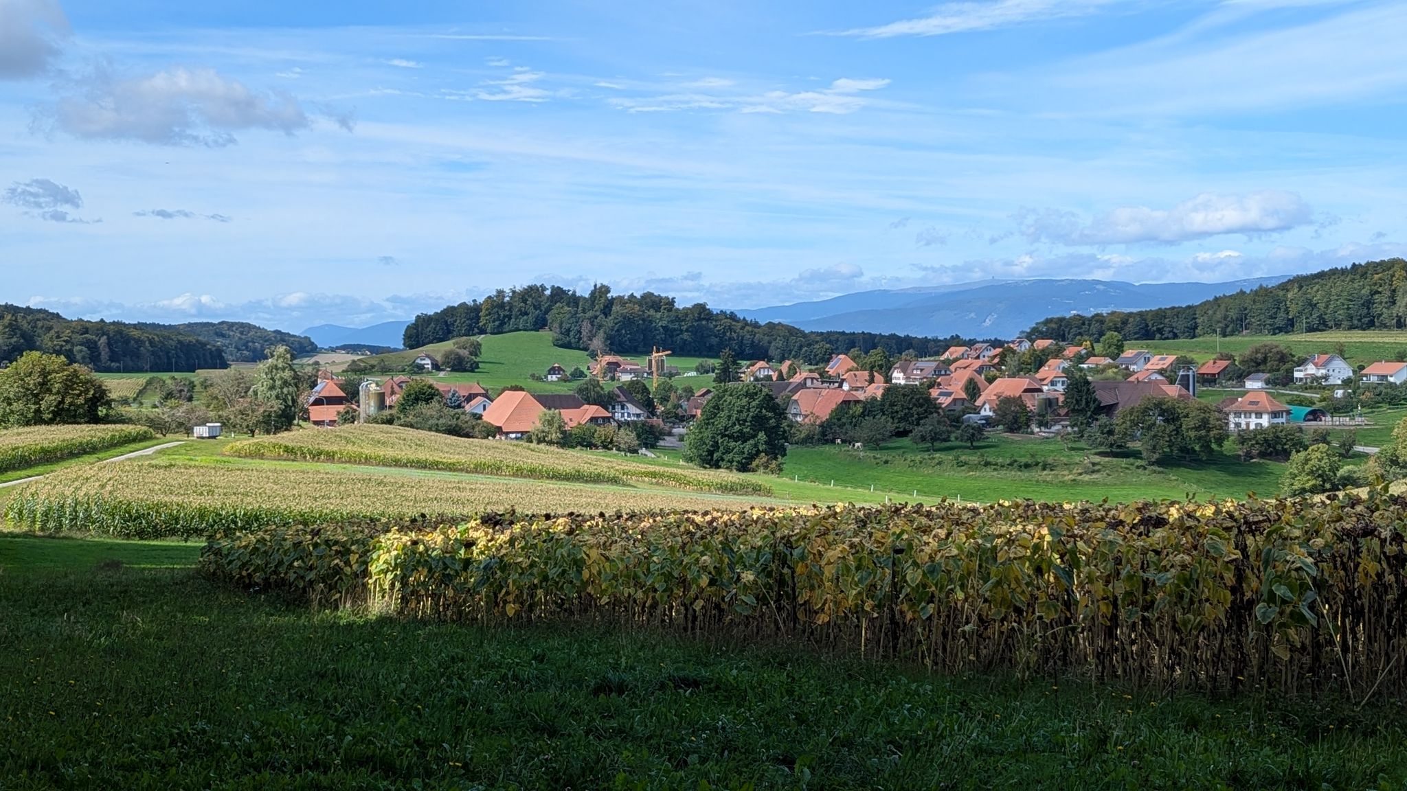 Blick nach Aetigkofen