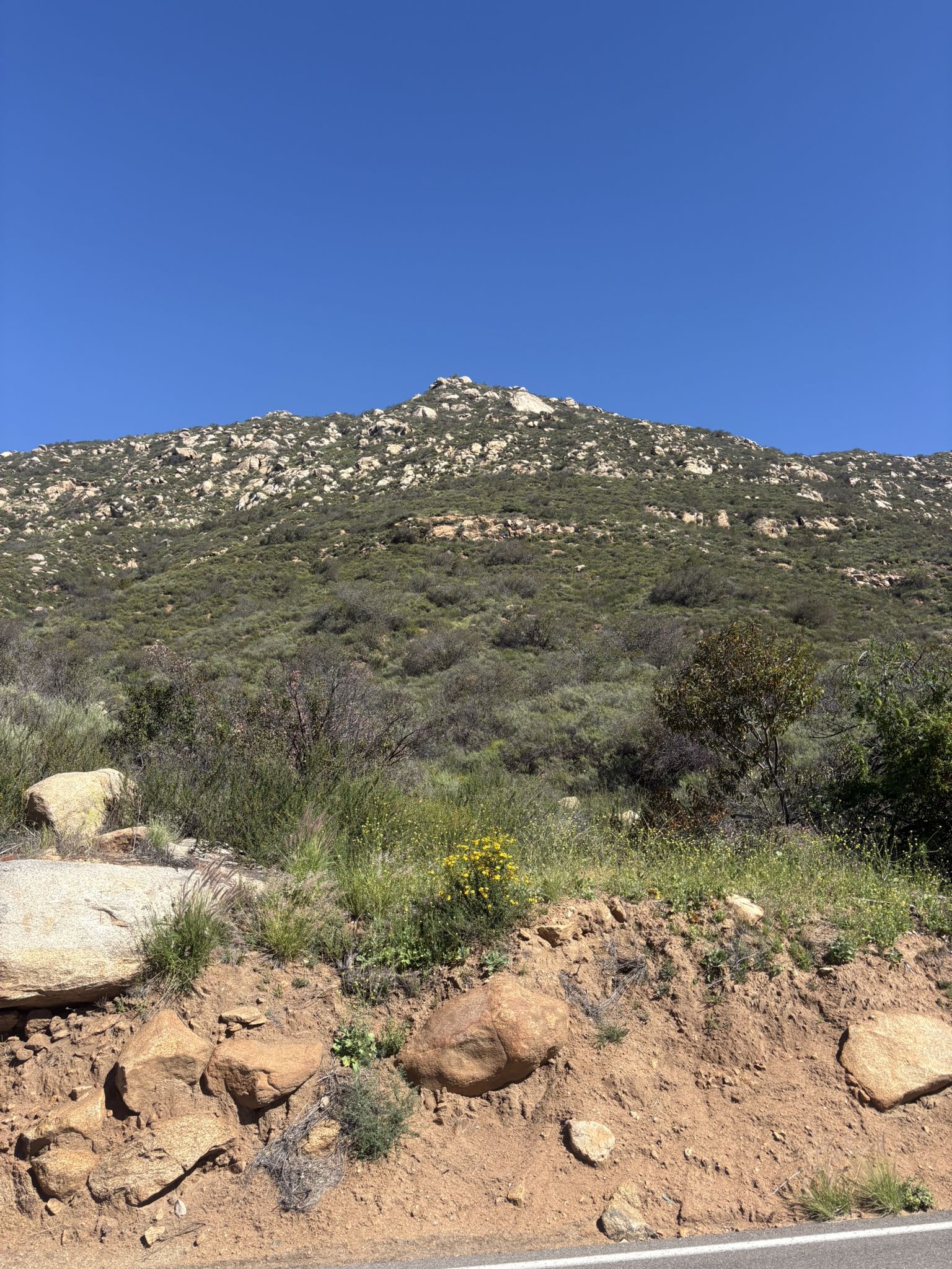 Rocky, scrub-covered mountain under a clear blue sky, with roadside rocks. - Sweetwater River loop from El Cajon