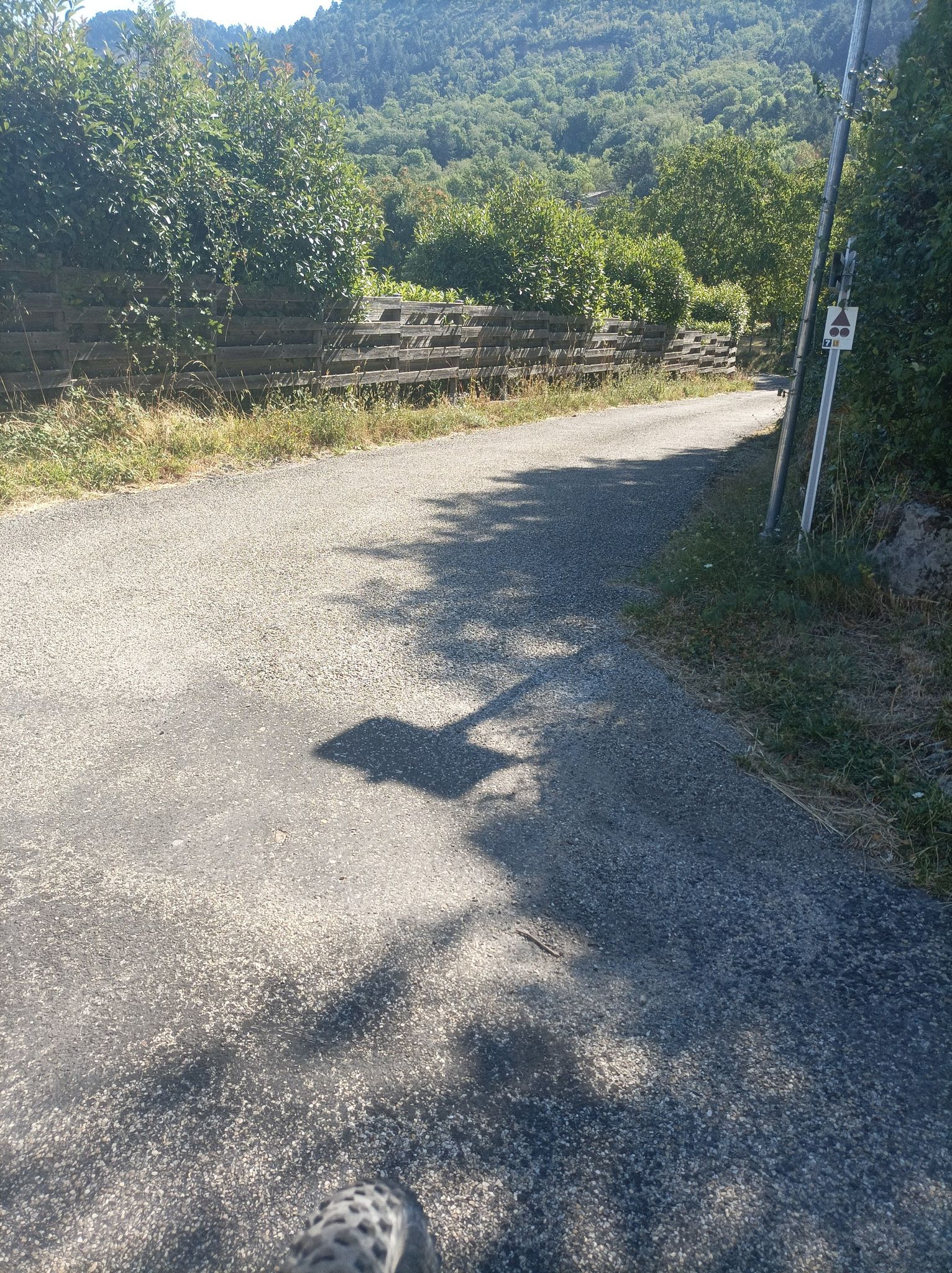 suivre chemin 7