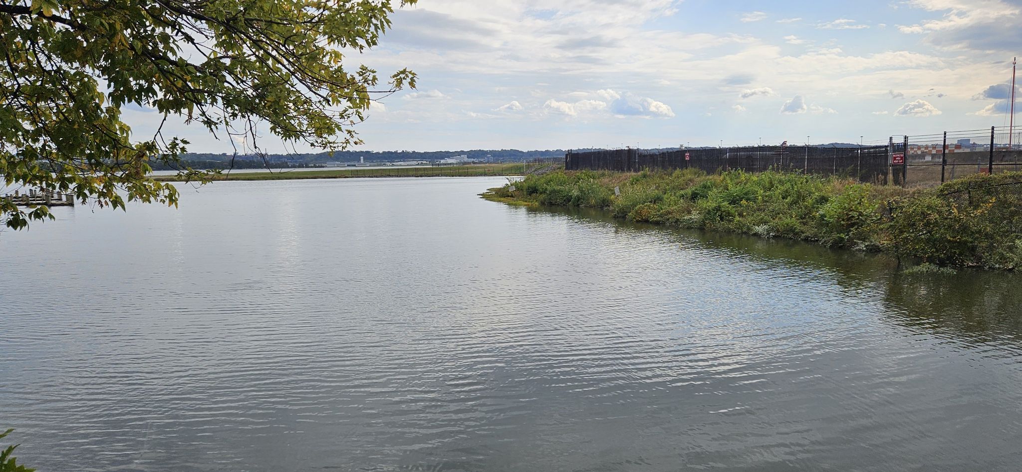 Calm river with a grassy bank and distant fence under cloudy sky. - Bluemont Caboose – Four Mile Run Trail loop from East Falls Church