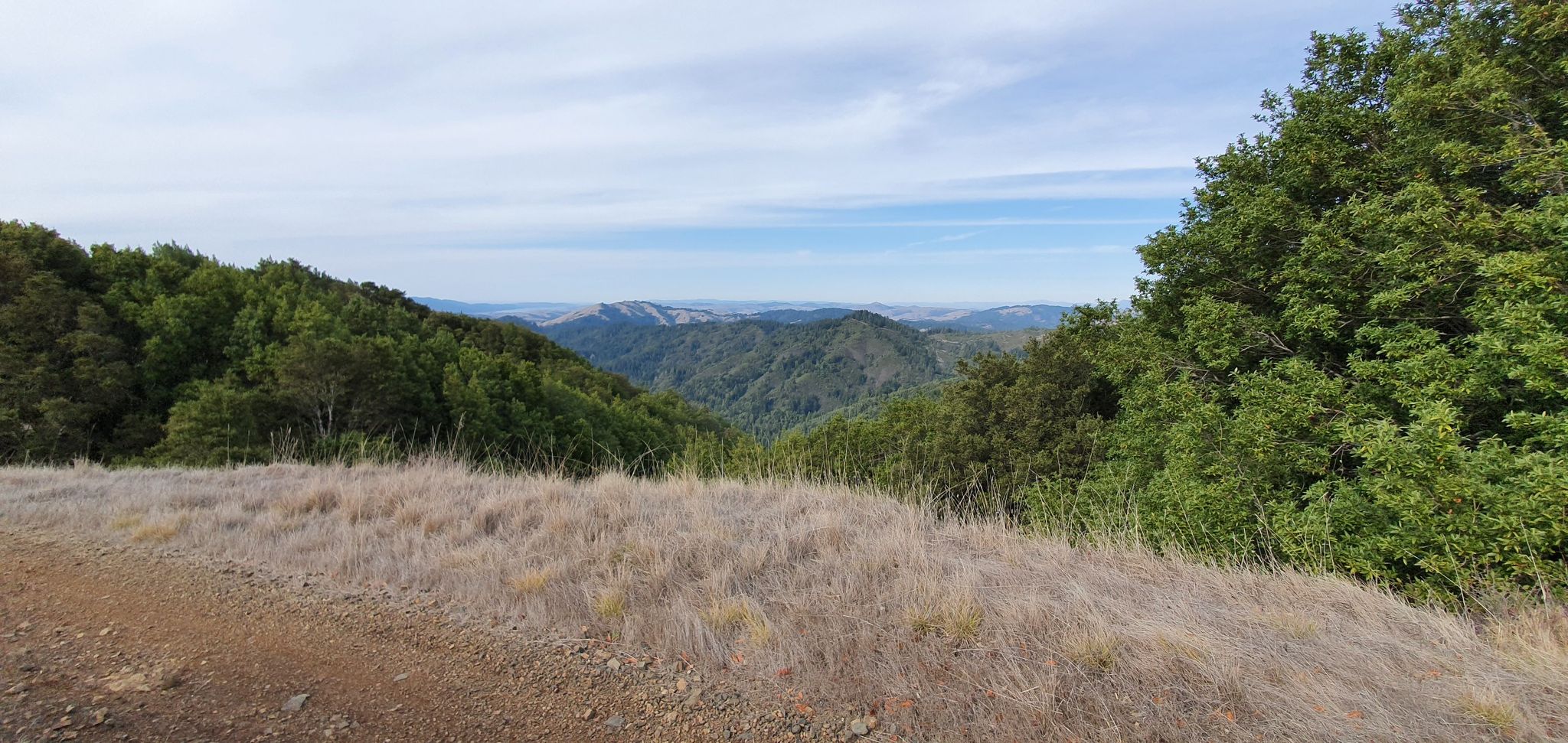 Panoramic view of dense green forested hills under a hazy sky. - Pine Mountain and Kent Lake Loop