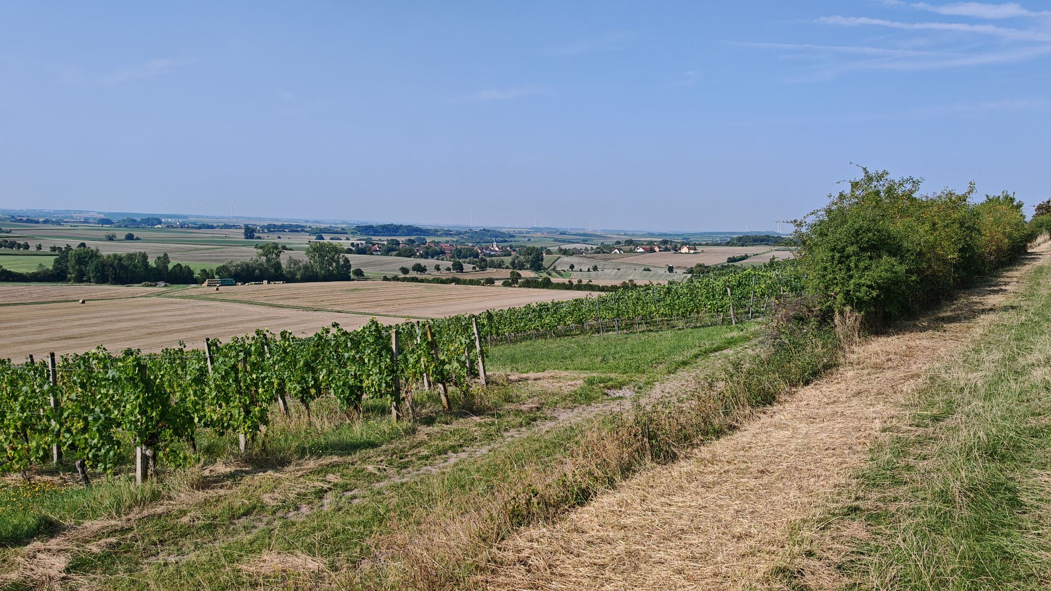 Blick auf Ippesheim