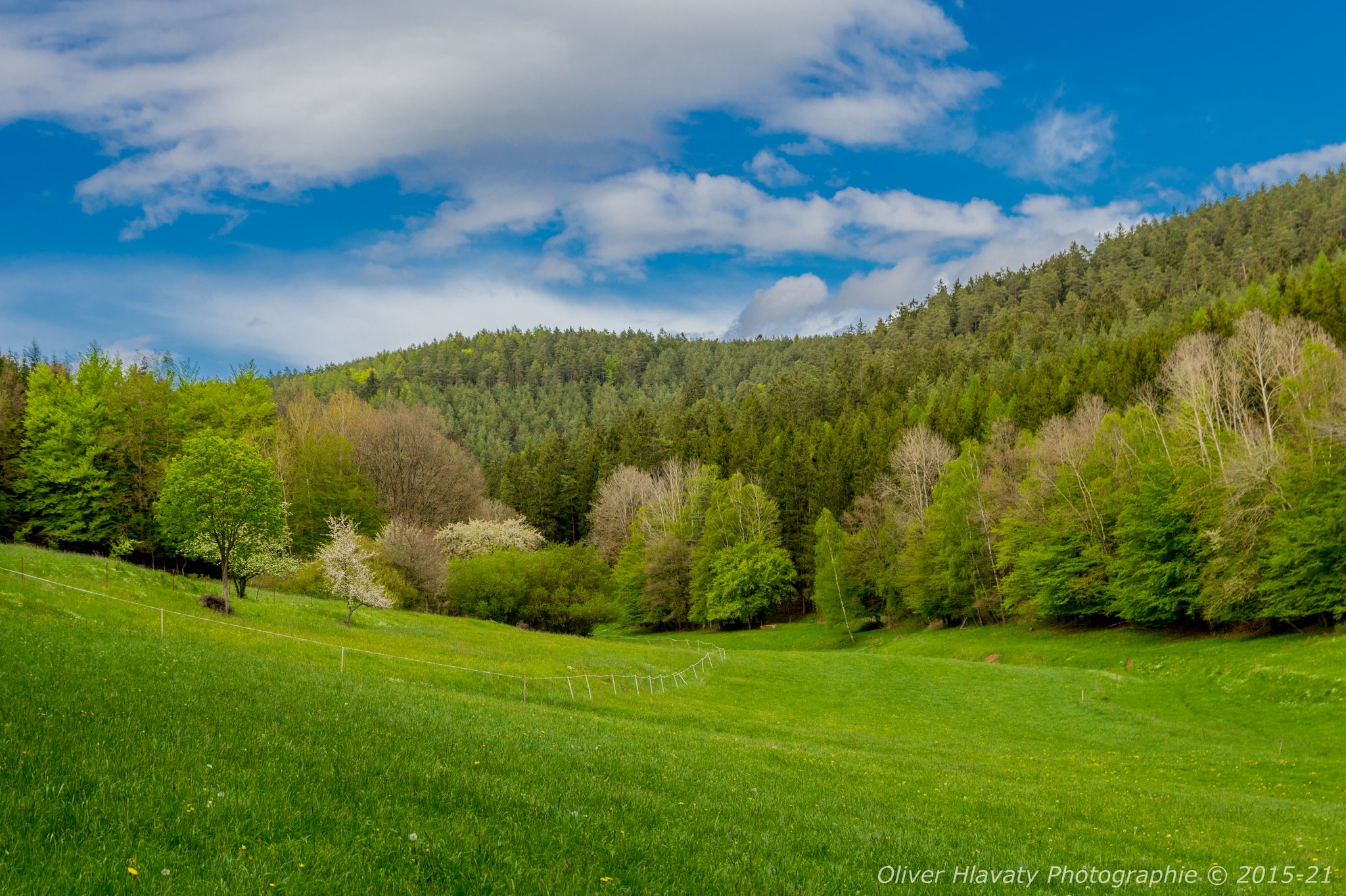 © 2015-21 | Oliver Hlavaty Photographie