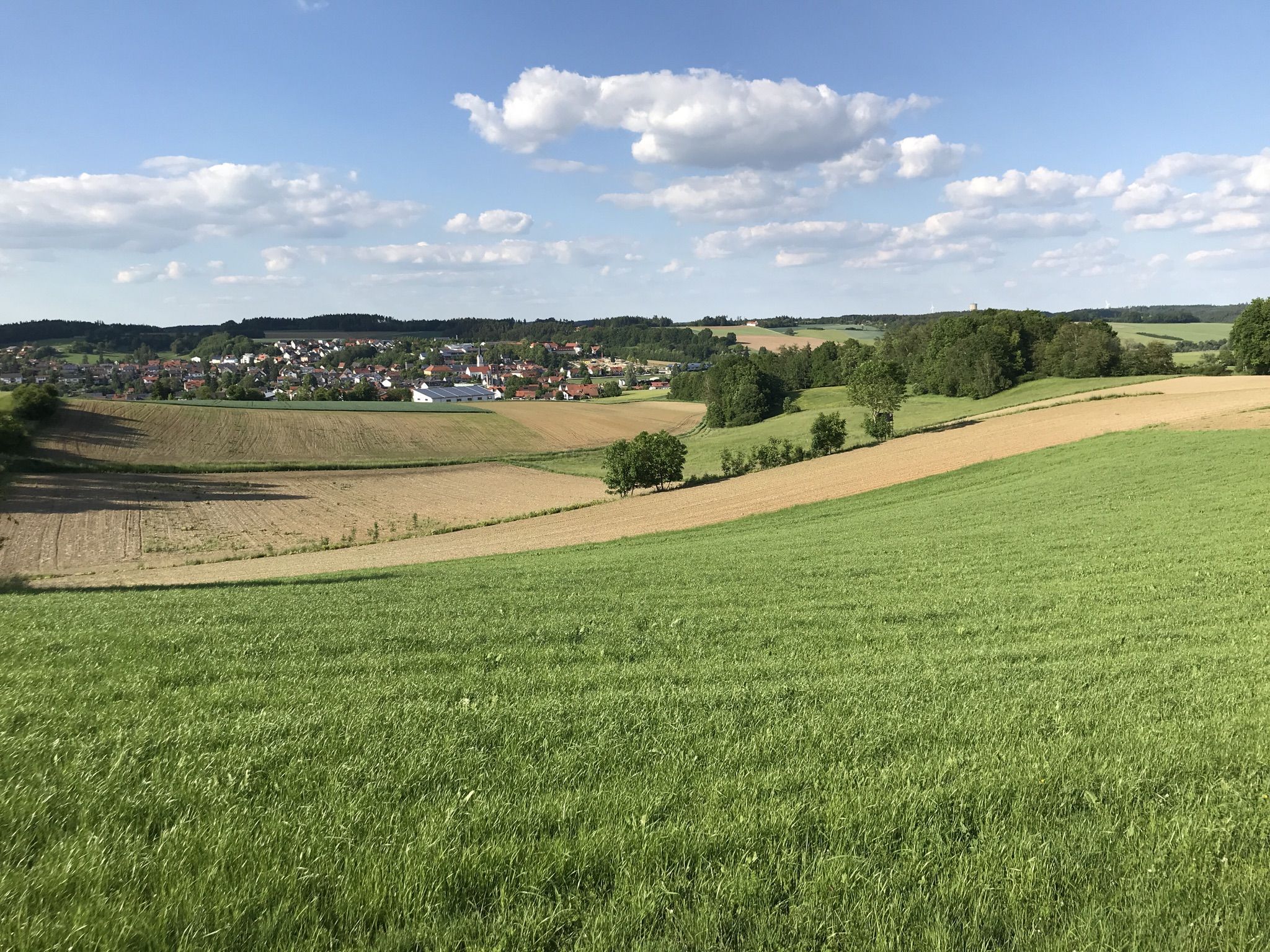Blick auf Furth