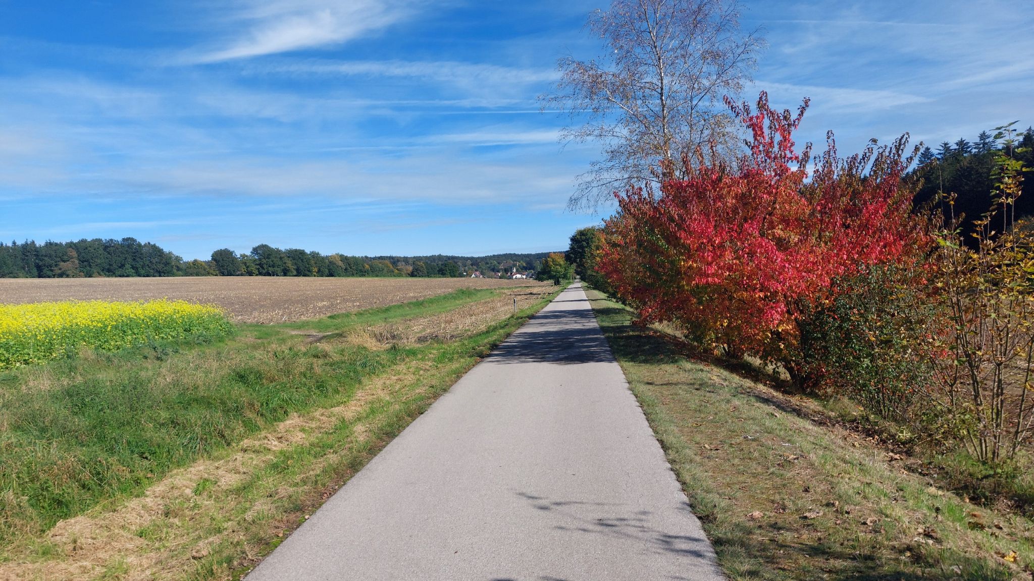 Tolle Herbstfarben.