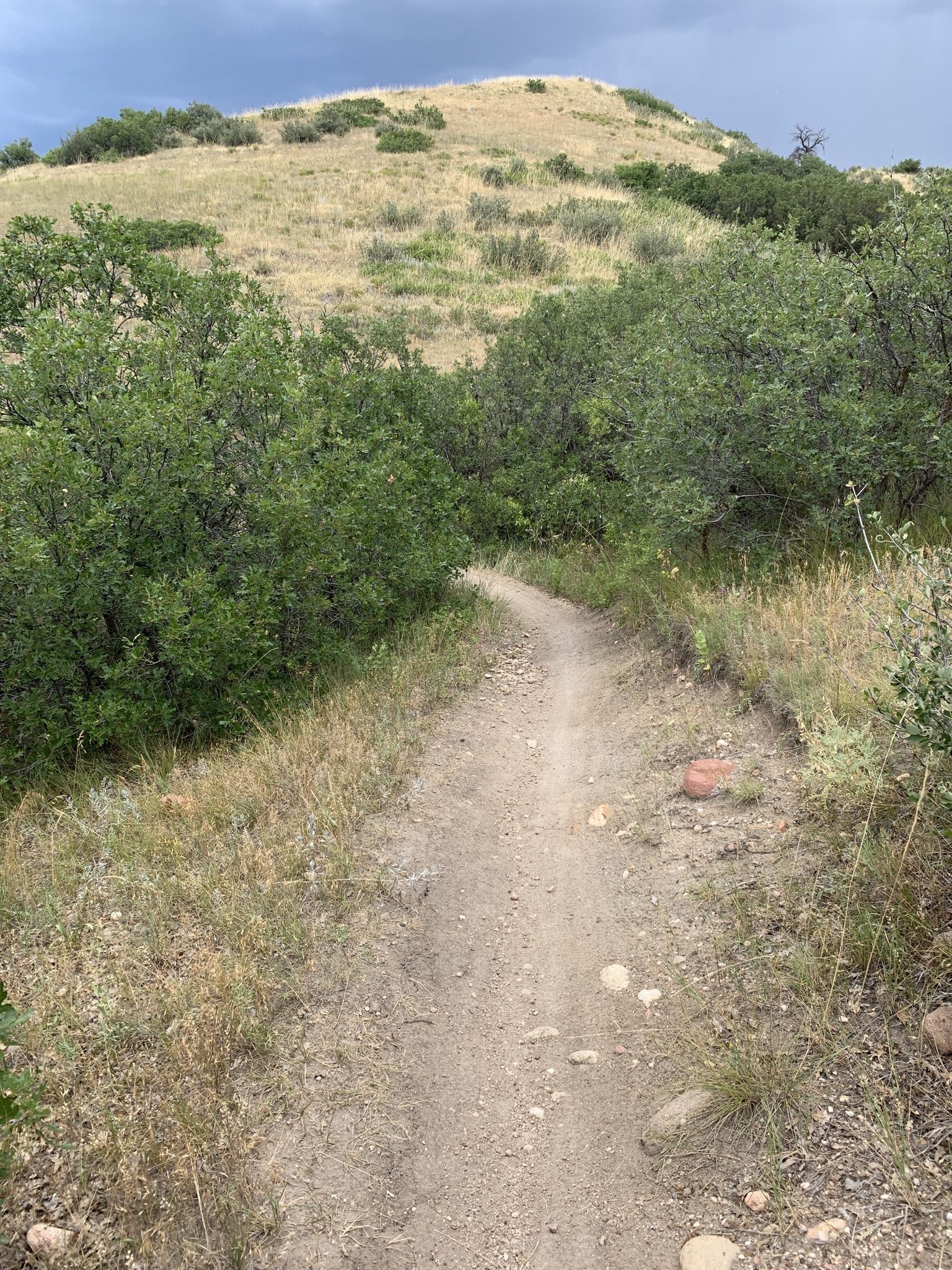 Dirt trail winding uphill through green bushes towards a dry hill. - East/West Regional Trail and Dad Clark Trail Loop