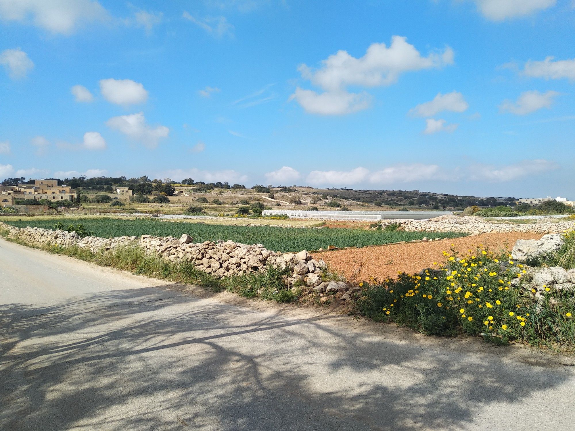 field