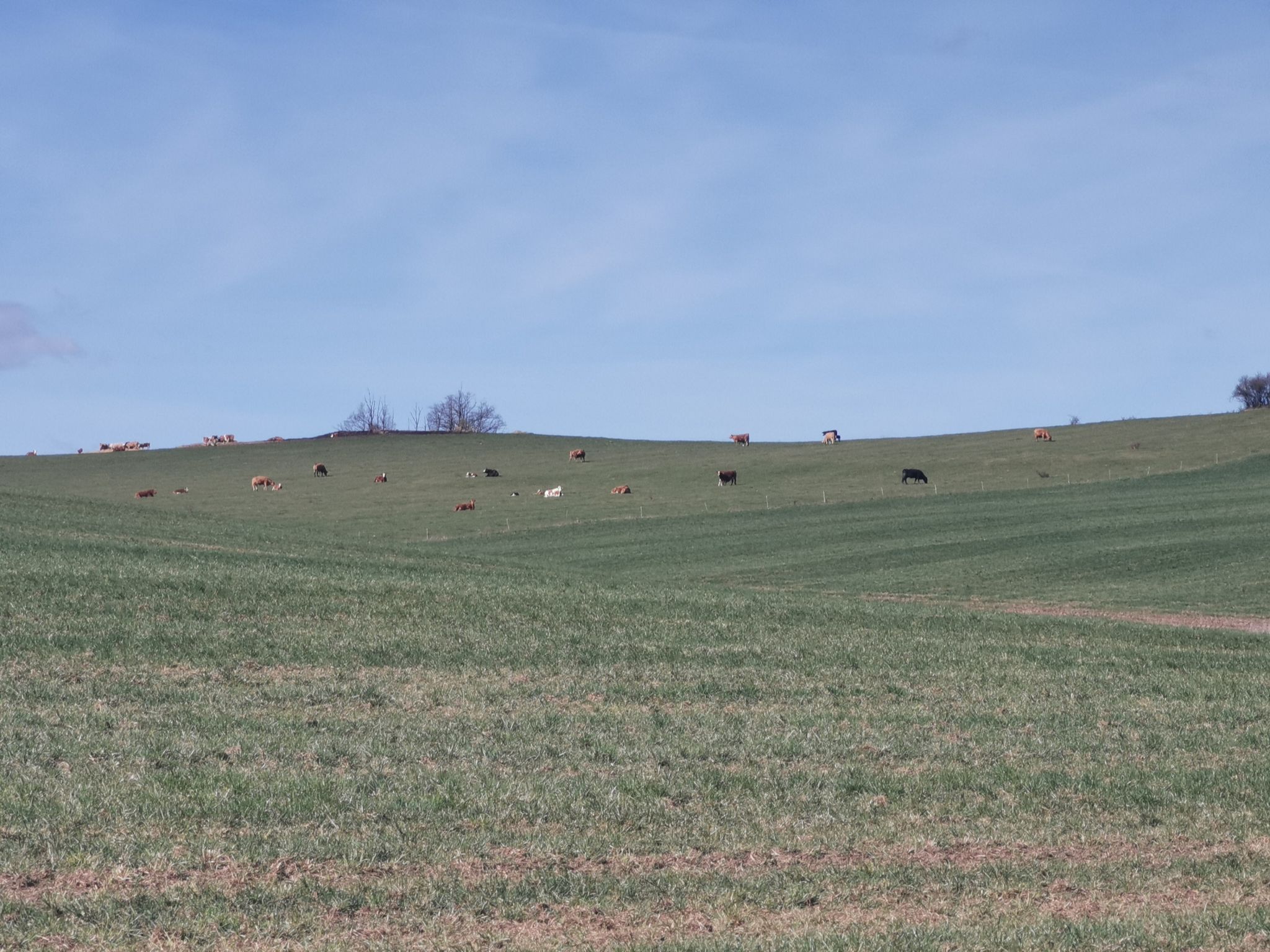 Weidrlandschaft kurz hinter Bislko