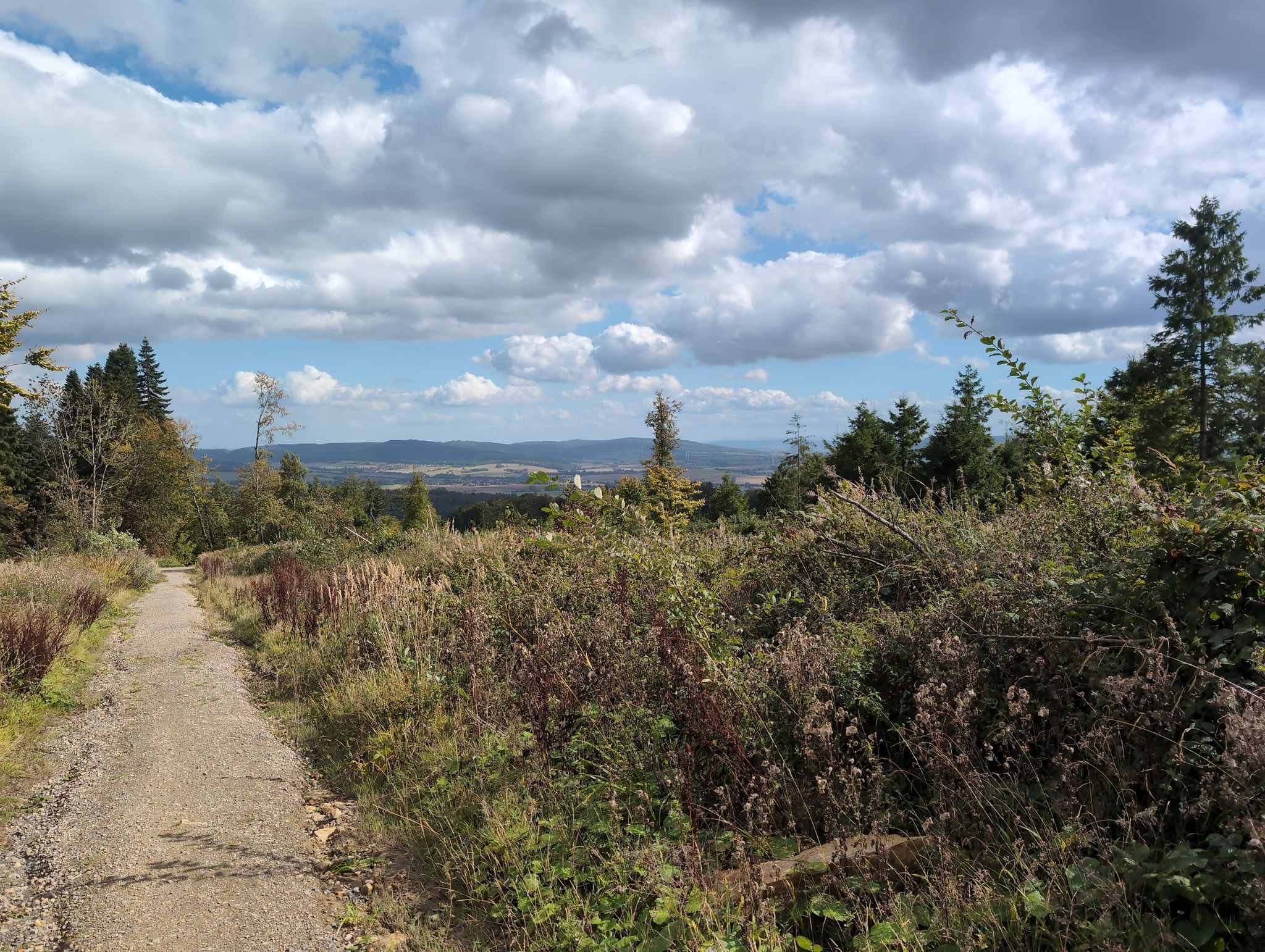 herlicher Blick auf Altenhagen