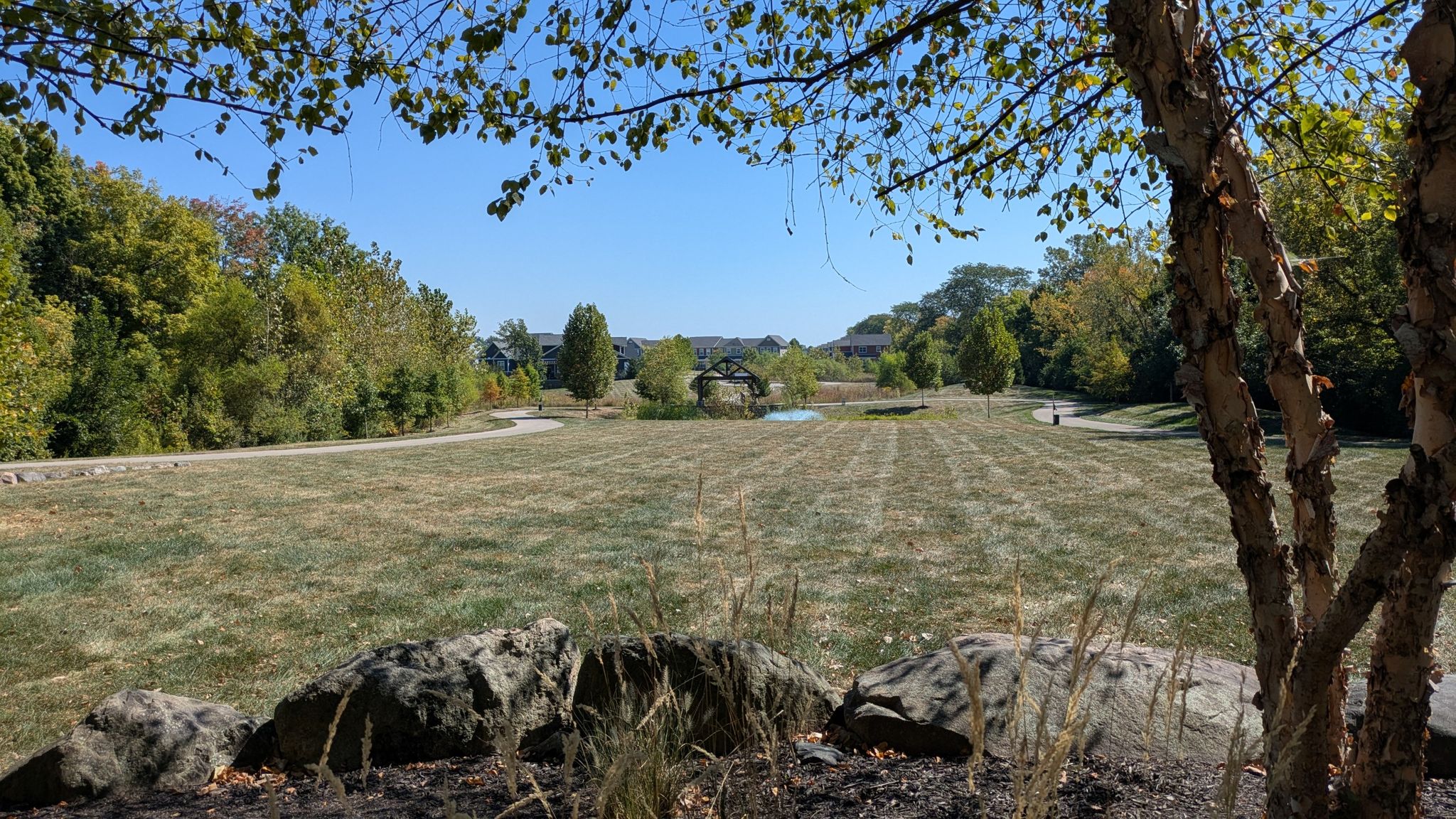 Sunny view of a wide grassy field framed by trees and rocks. - Midtown Plaza Carmel – Carmel Central Park loop from North Central High School