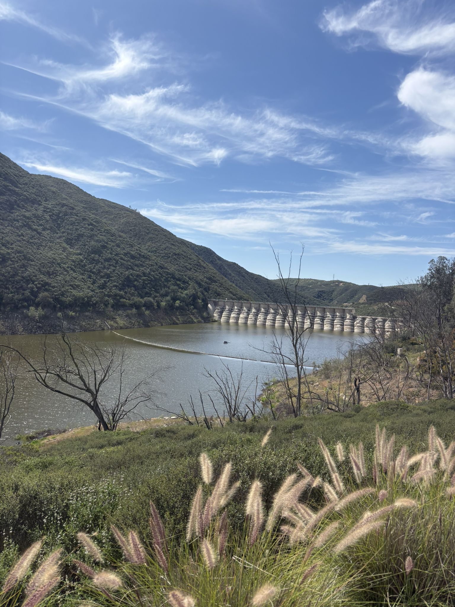 A large dam spans a lake with green hills, feathery grass, and a boat. - Hodges Dam – Double Peak Drive Climb loop from Trailhead Parking