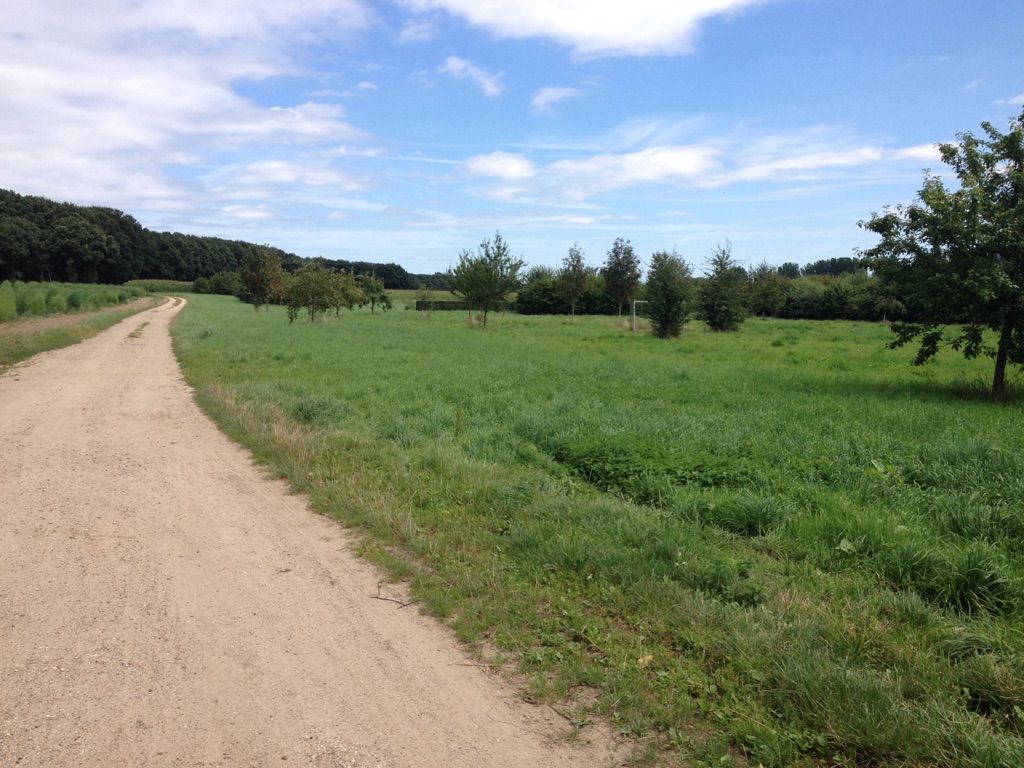 Way point