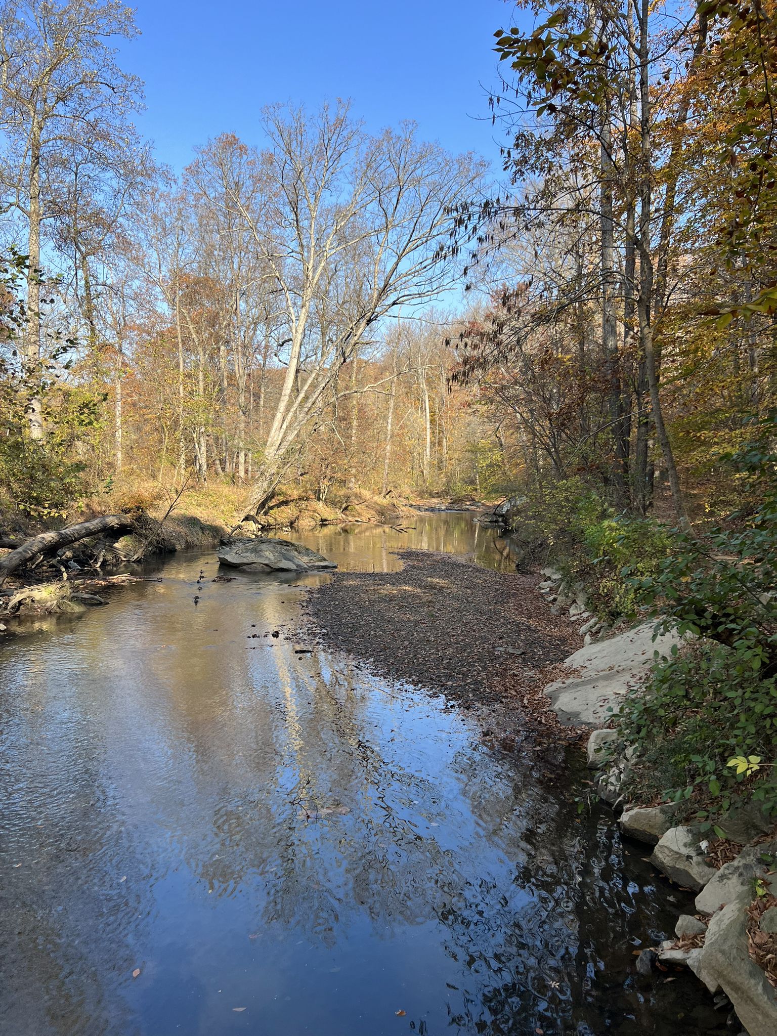 A tranquil river reflects a blue sky and autumn trees on a clear day. - Valley Trail – Rock Creek loop from Silver Spring