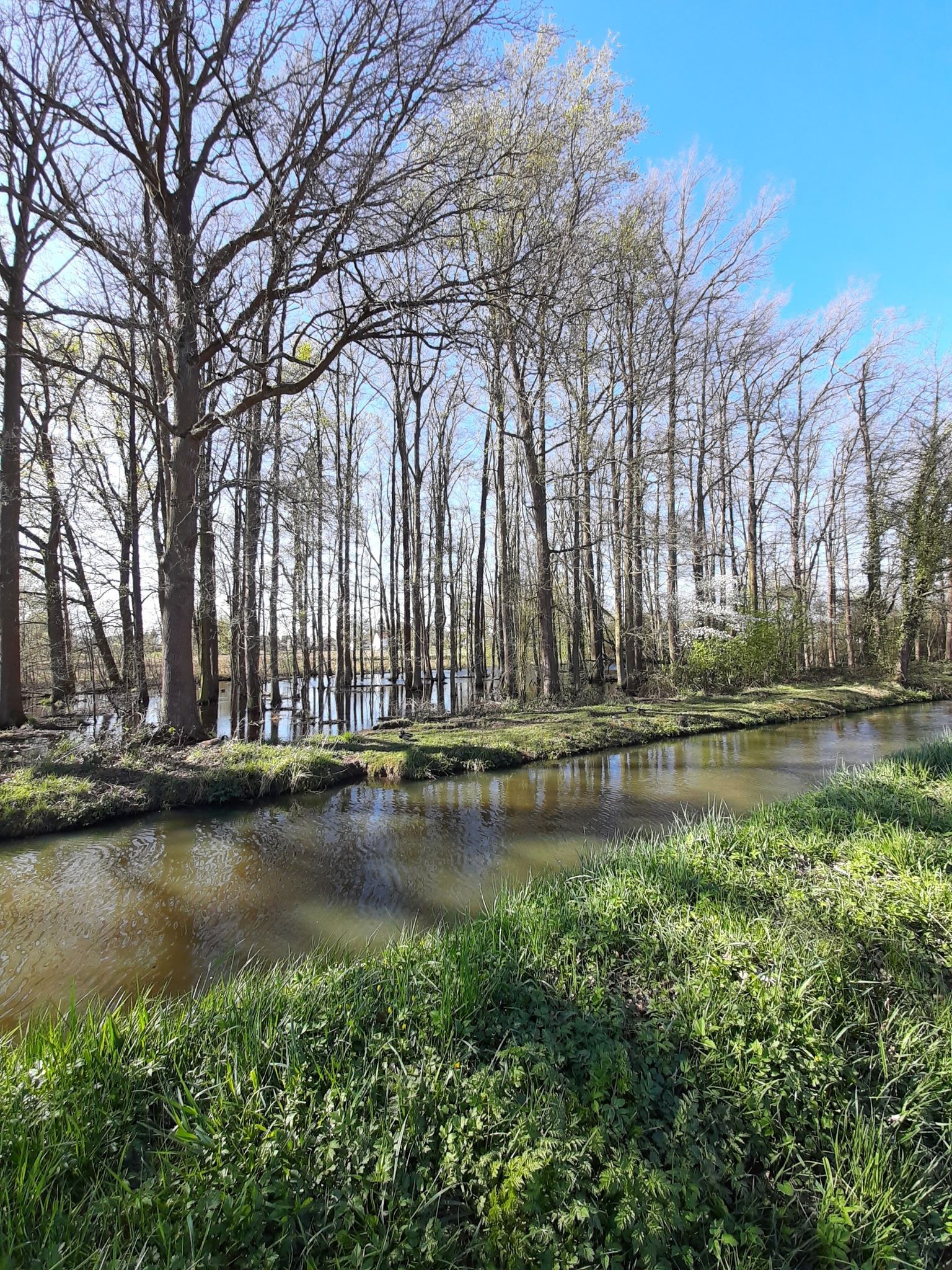 het water op de Motte staat hoog