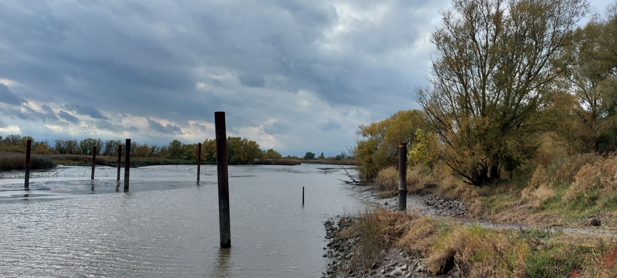 Haseldorfer Hafen