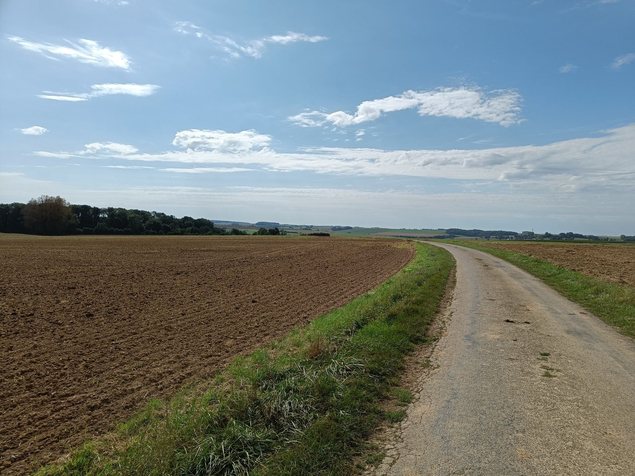 cessières