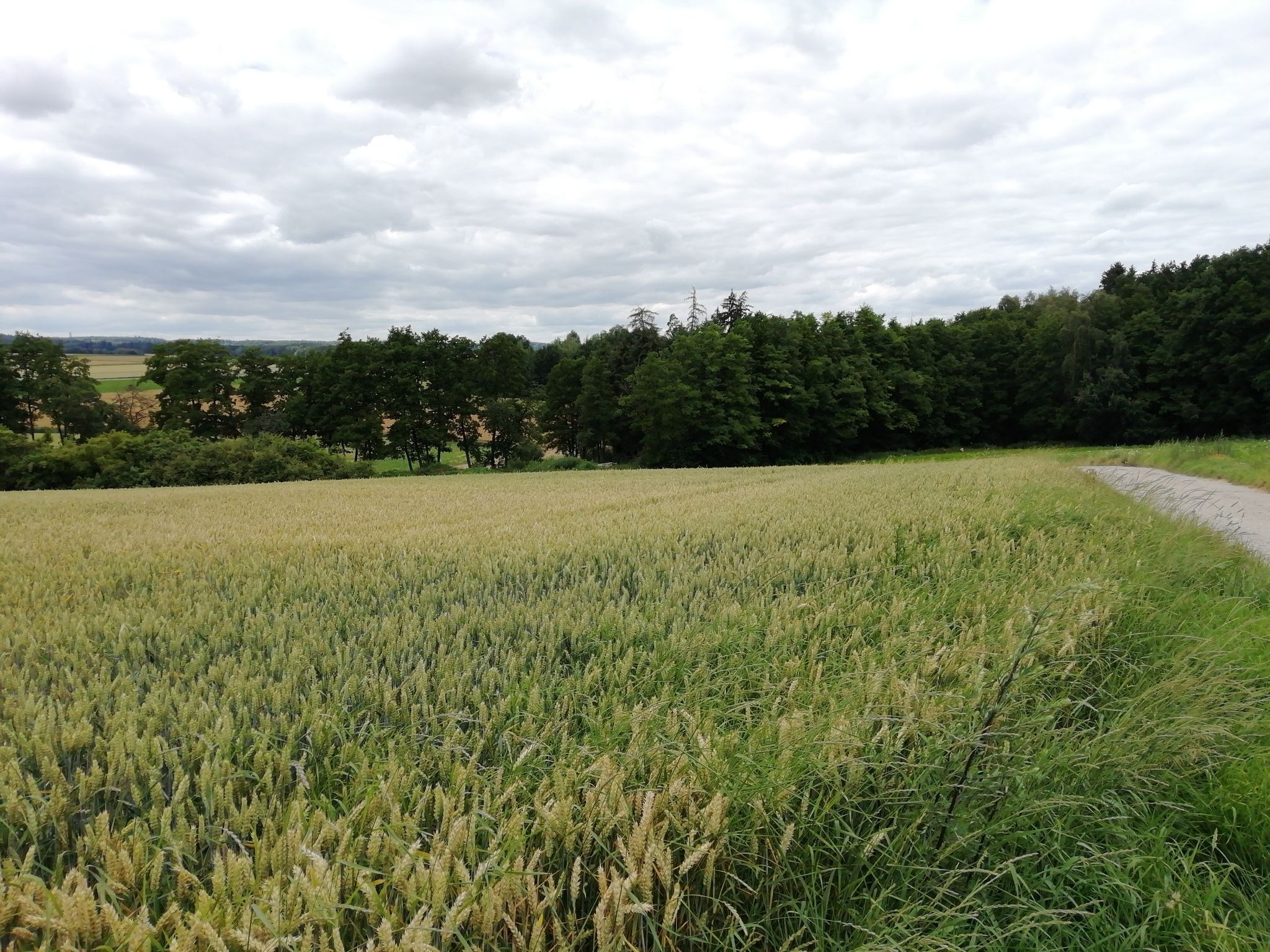 Aufstieg aus dem Aubachtal