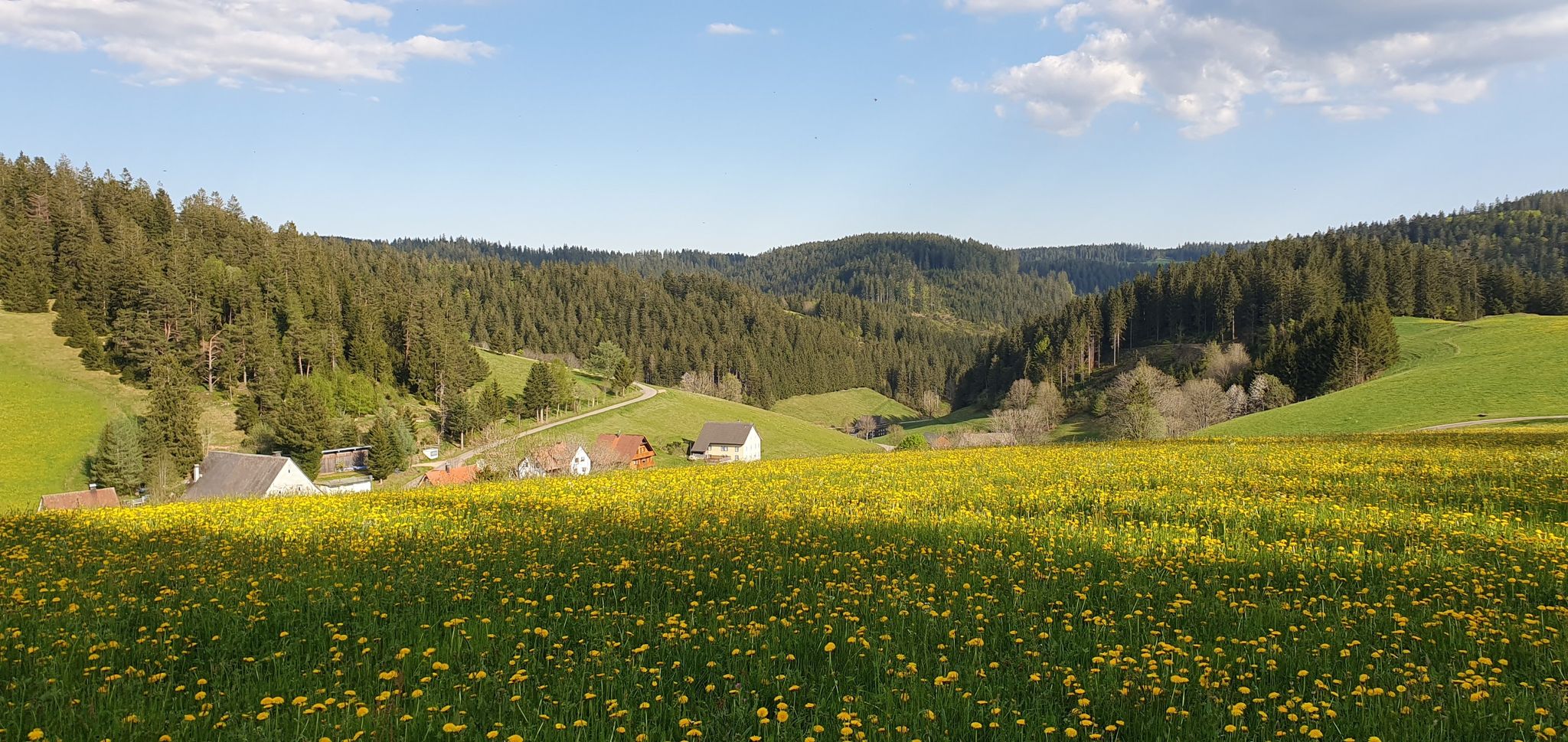 Aussicht ins Tal