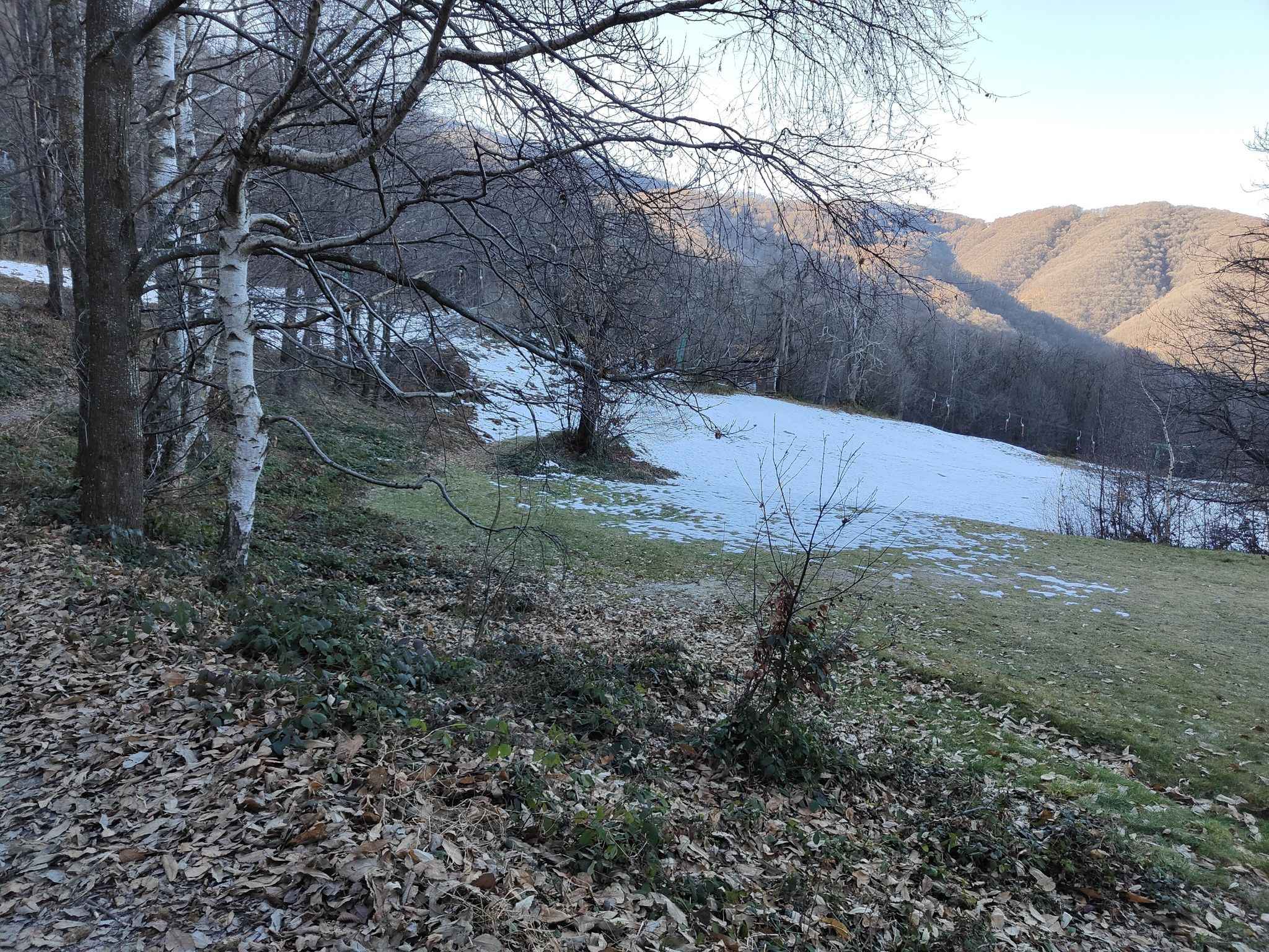 Bosco delle fate