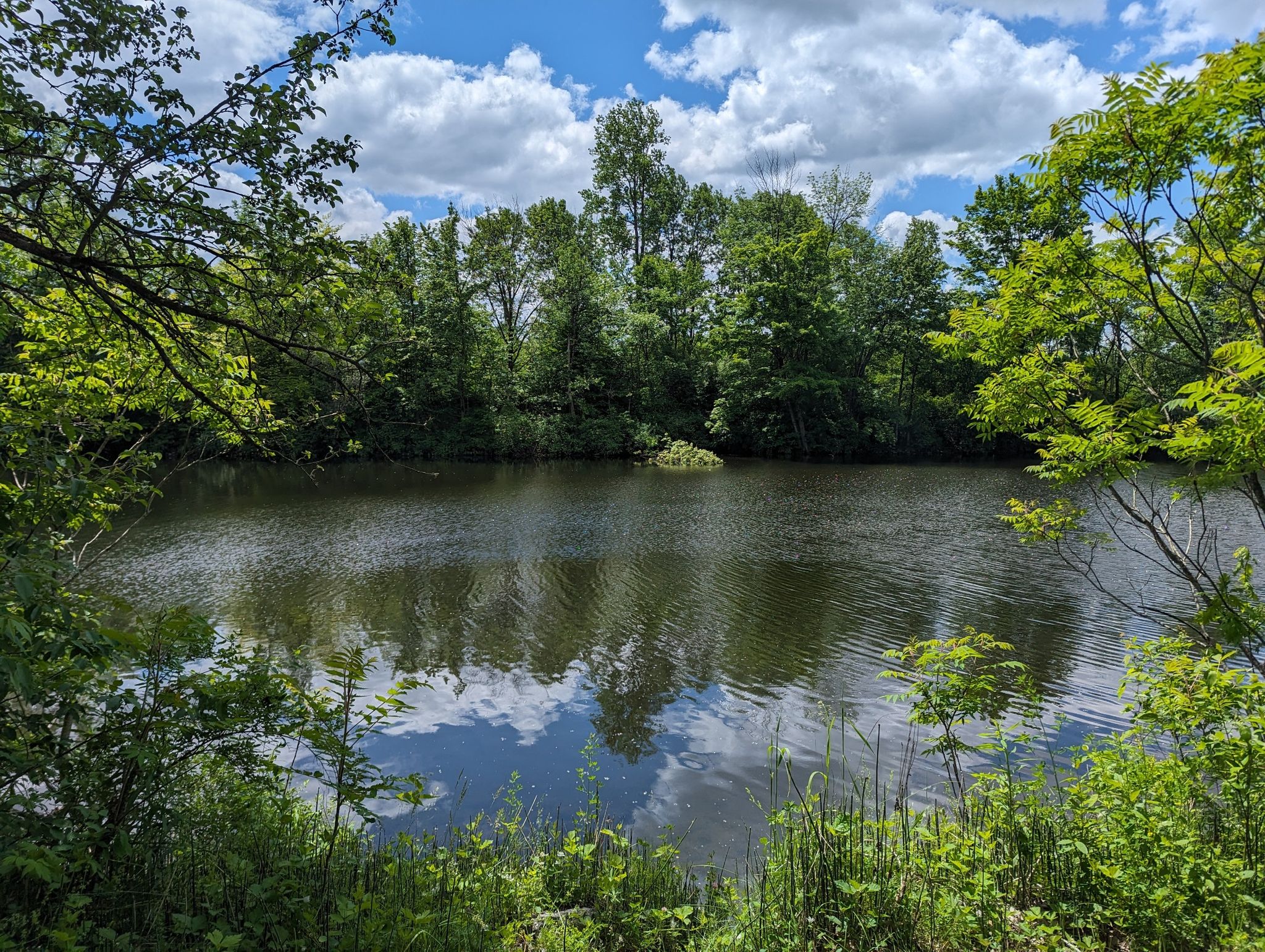 A serene pond surrounded by lush green trees under a bright, cloudy sky. - Erie Canal Lock and Rest Area – Canal Overpass loop from Canastota Reservoir
