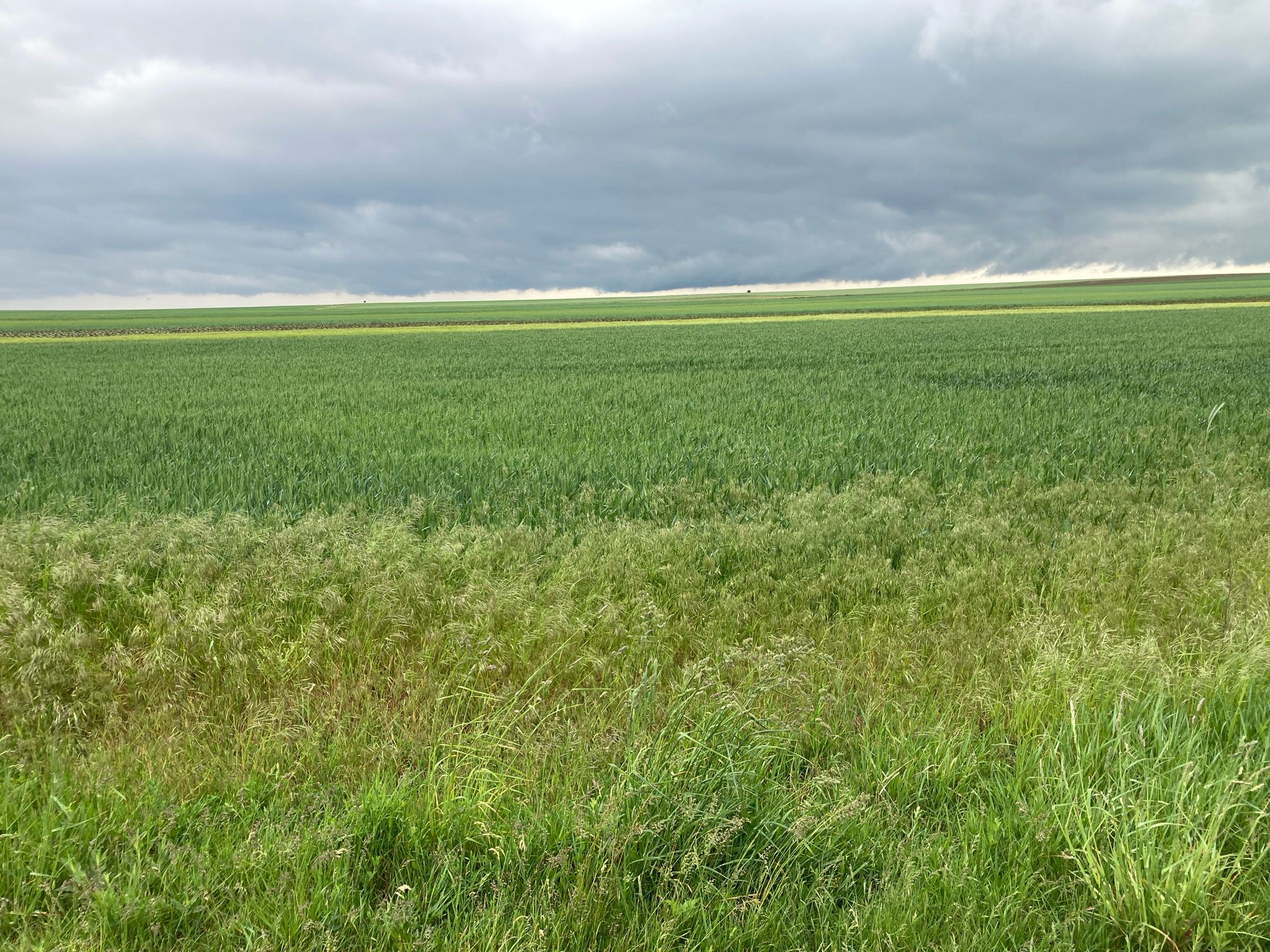 Dunkle schwere Wolken über Tschechien und Slowakei.