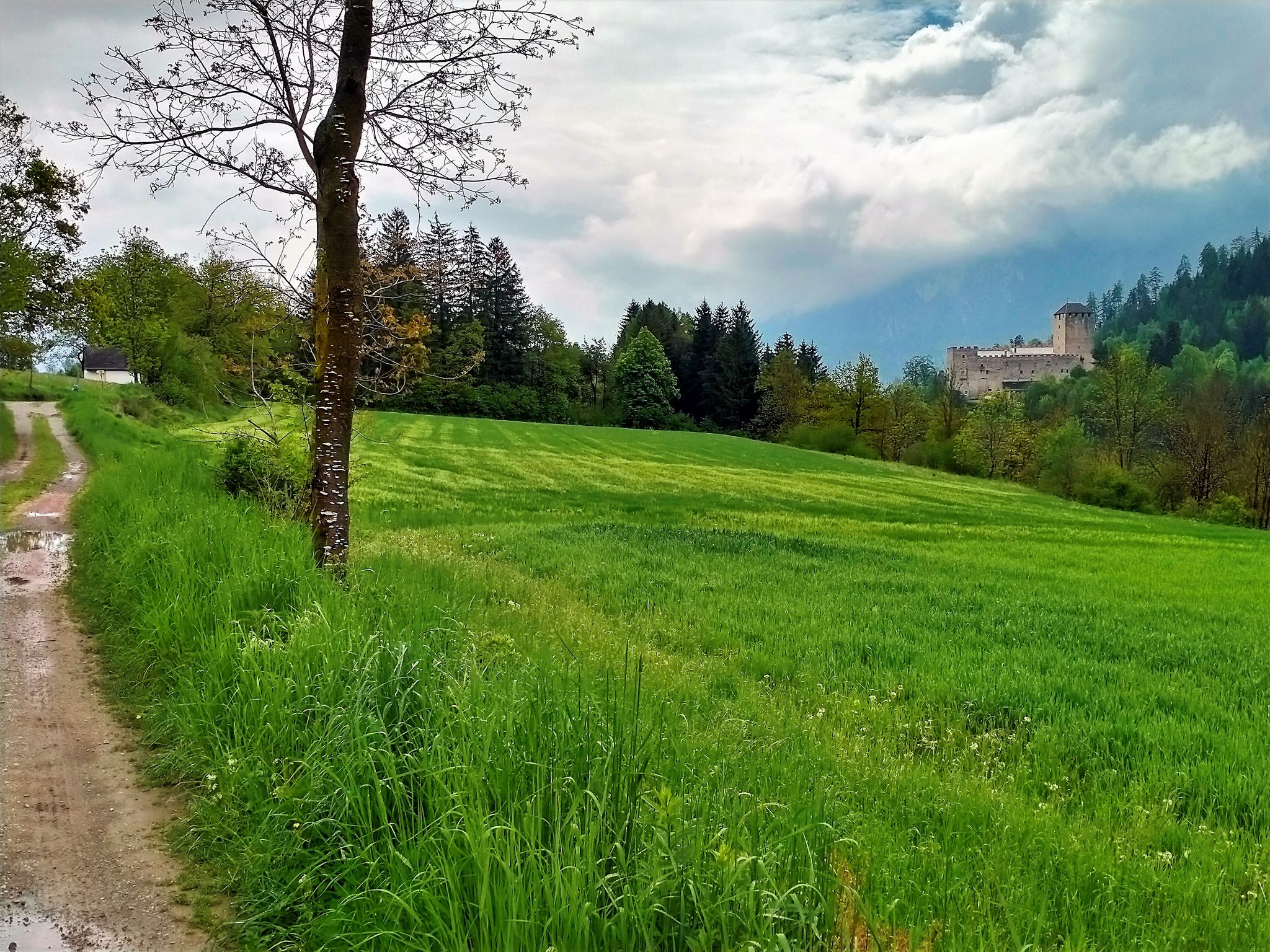 Blick zum Schloss Bruck, Lienz