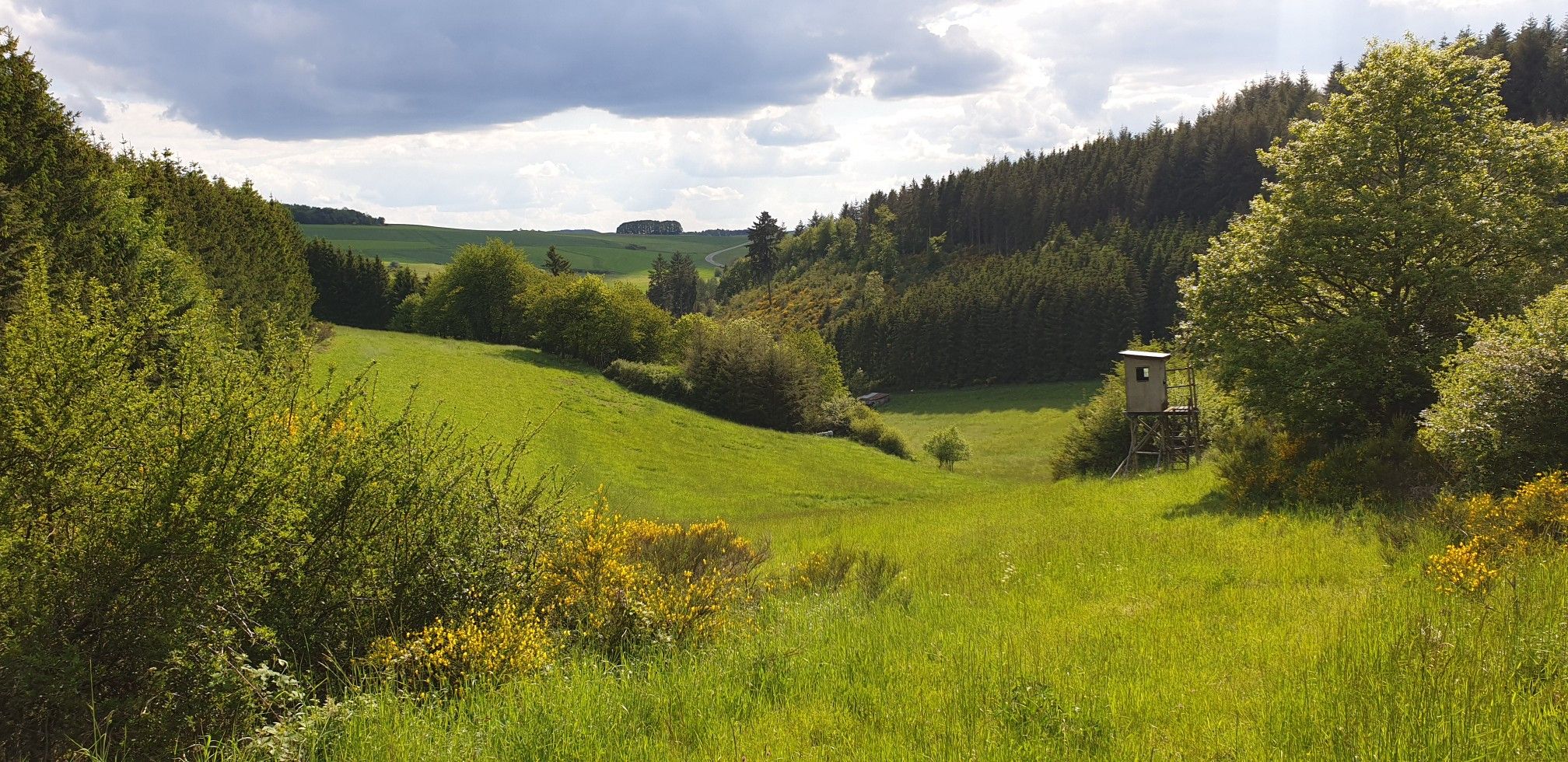 Herrliche Landschaft