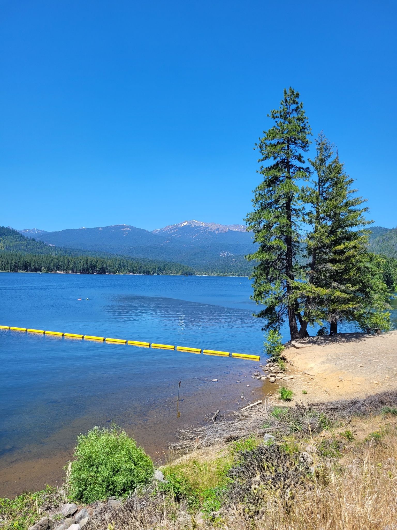 Bright lake with yellow buoy line, tall pines, distant mountains under clear sky. - Lake Siskiyou – Hedge Creek Falls loop from Golden Eagle Charter School