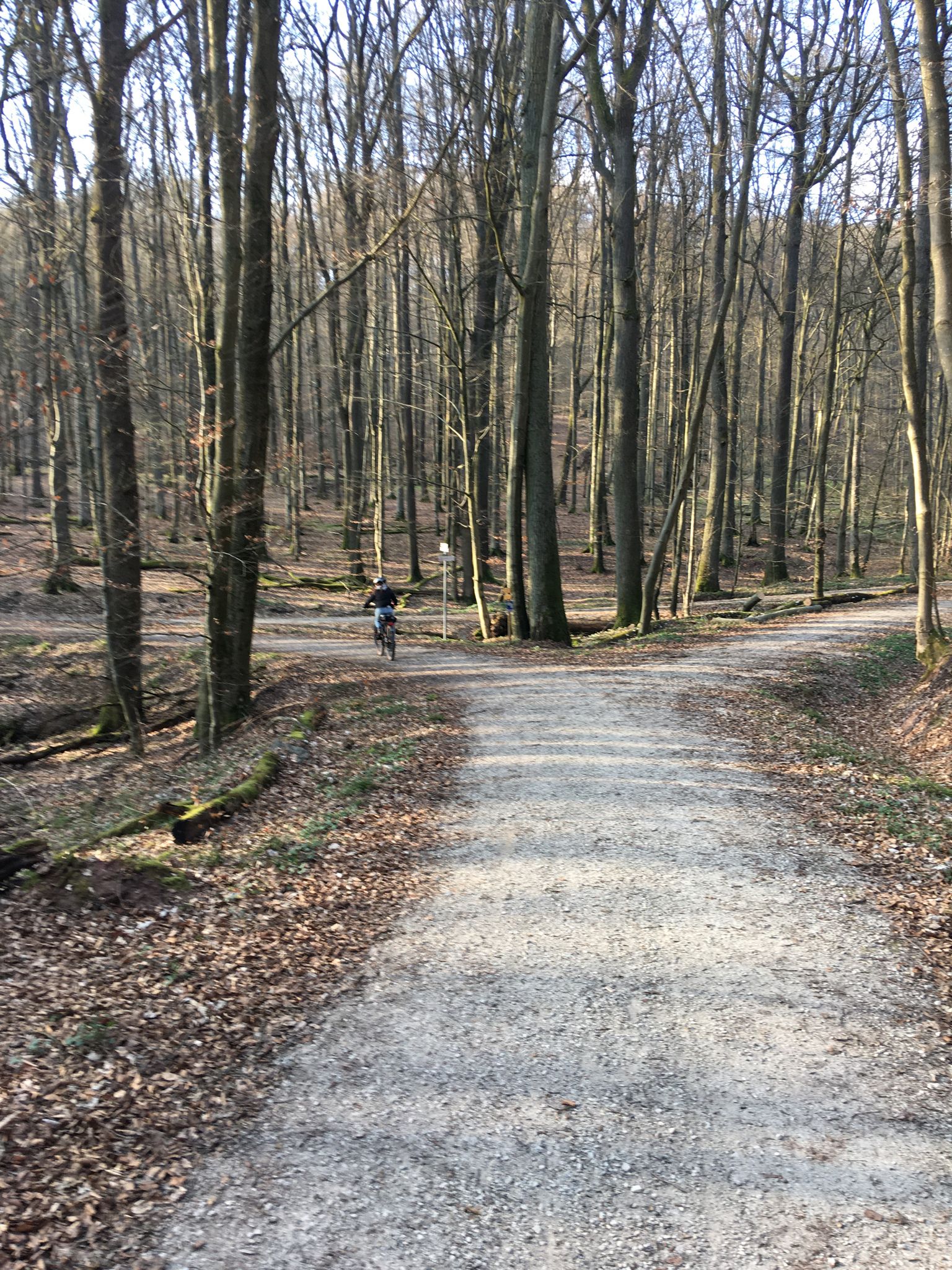 Ginpunsch Kreuzung 