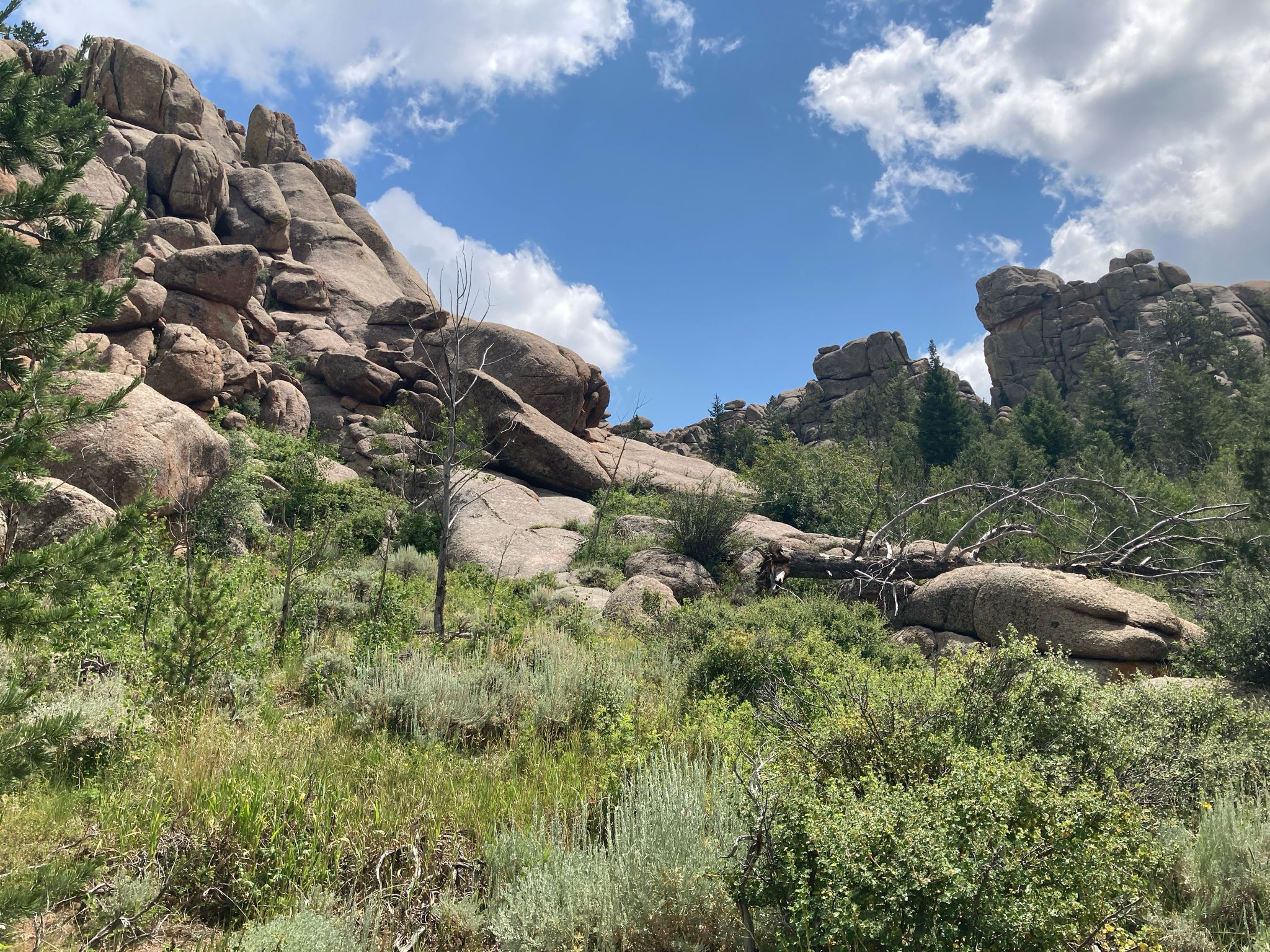 Rocky hillside with green vegetation under a partly cloudy sky. - Turtle Rock Loop Trail