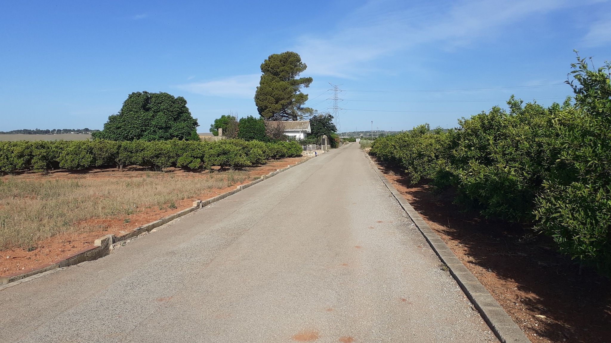 Ruta alternativa
