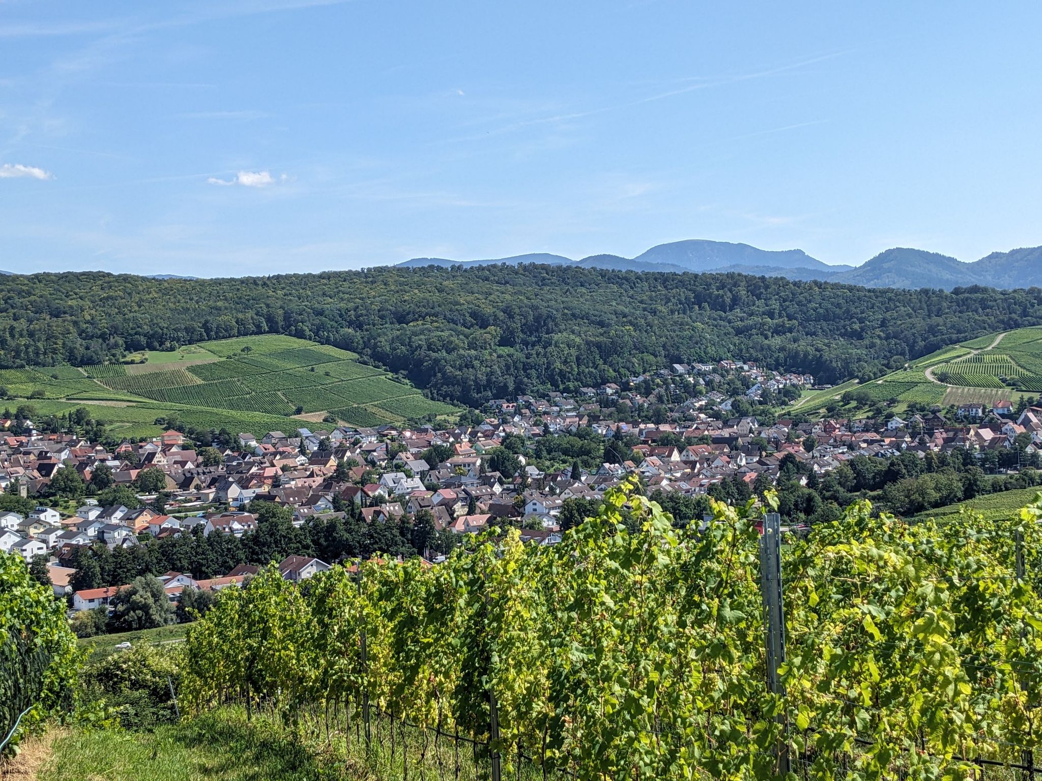 Pfaffenweiler und der Belchen