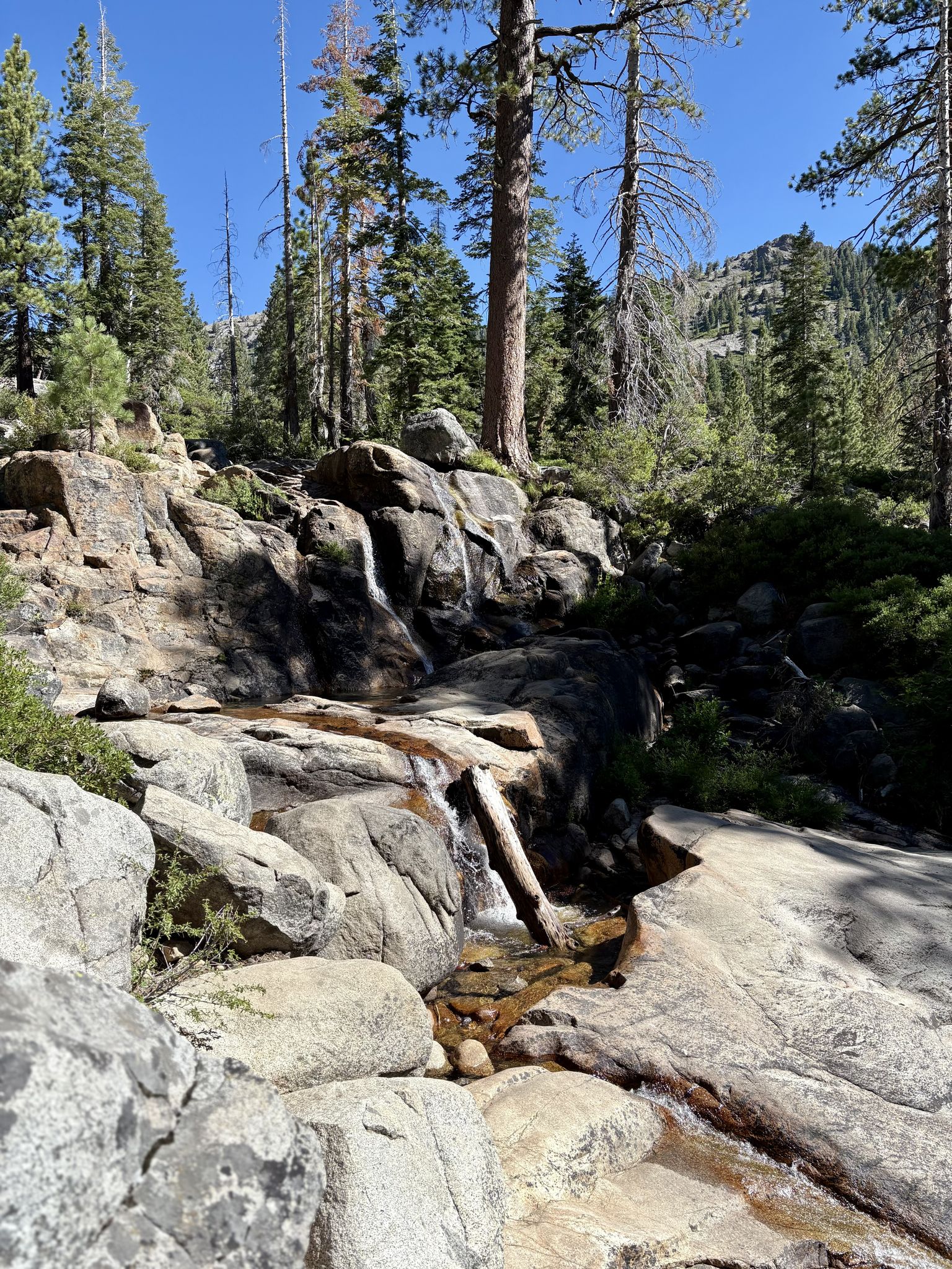 Small waterfall cascades over sunlit rocks in a dense pine forest. - The Village at Palisades Tahoe – Waterfall loop from Olympic Valley