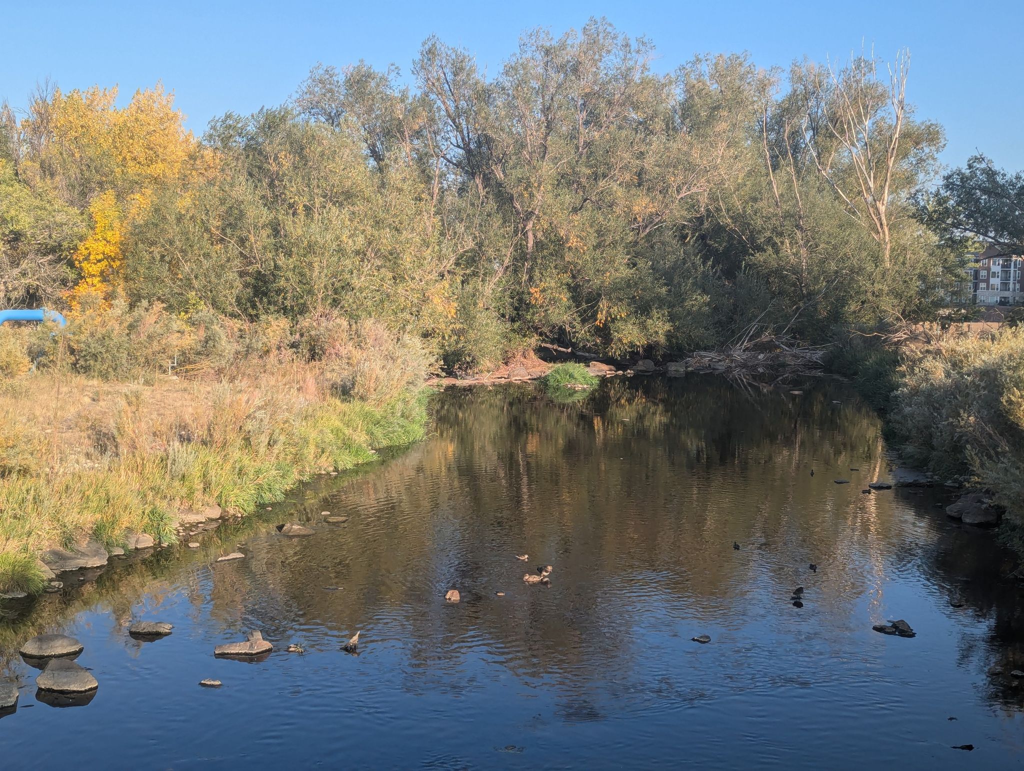 Calm river reflecting trees with autumn colors, surrounded by dry grass. - Clear Creek and Prospect Lake Trail