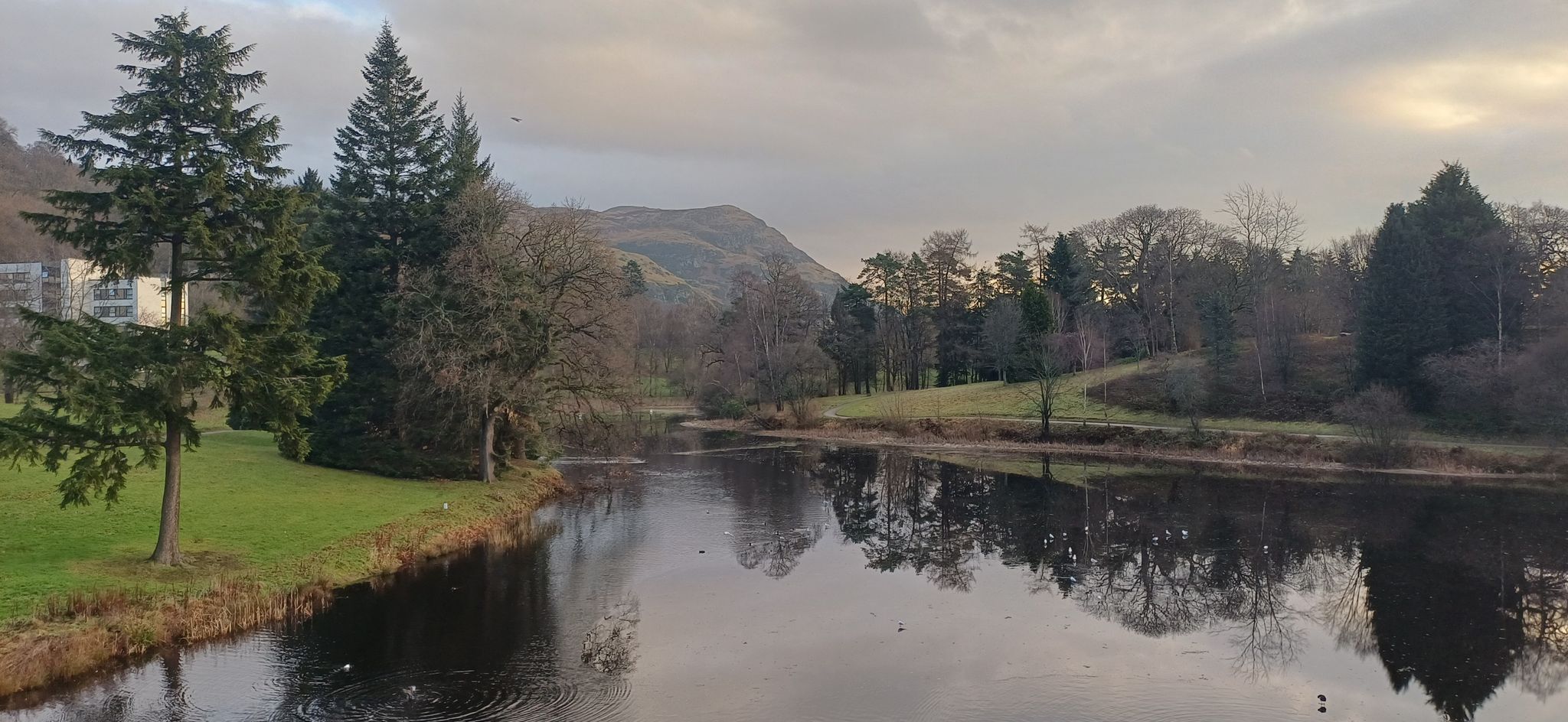 Airthrey Loch