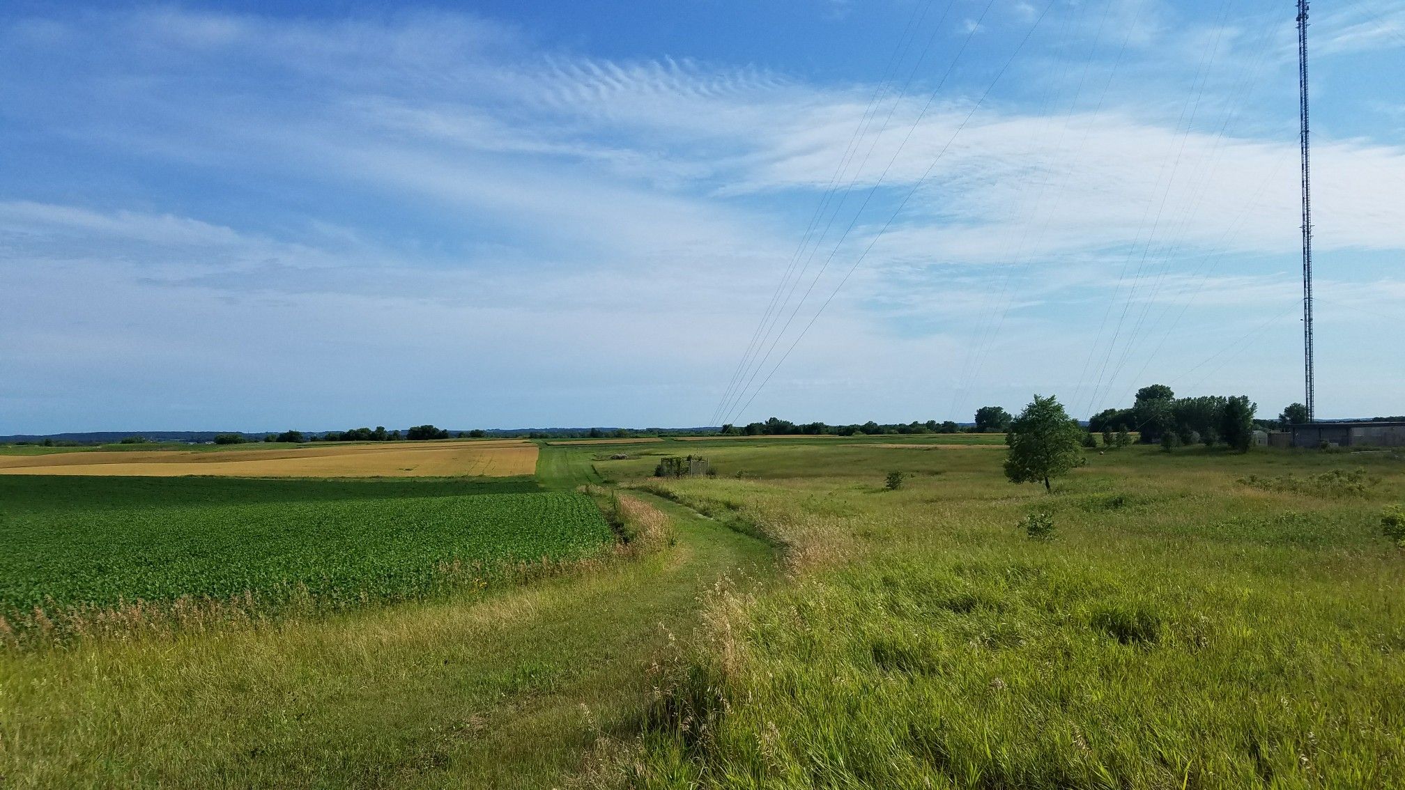 Expansive green and yellow fields under a blue sky with a tall tower. - Flower experiments – KYMN Radio Tower loop from Vermillion Highlands Research Recreation and Wildlife Management Area