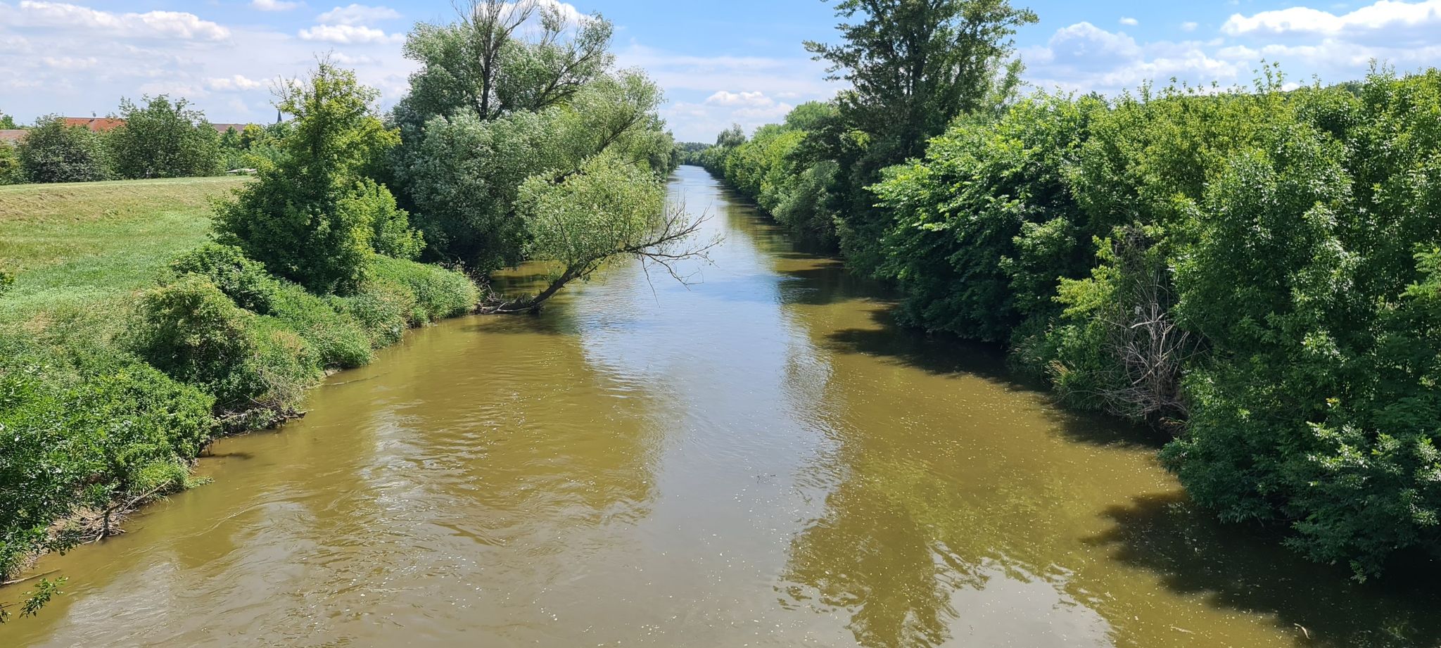 černík