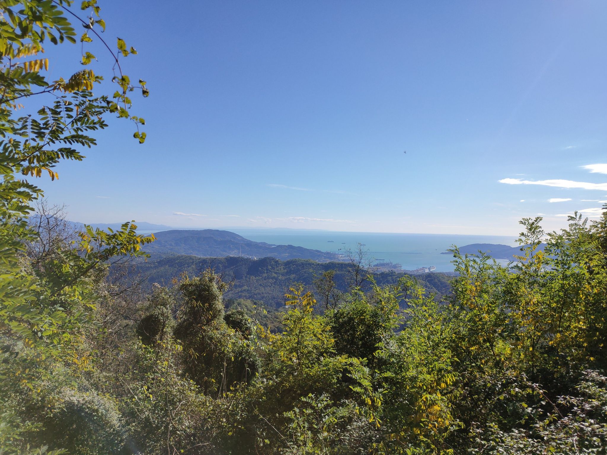 panorama