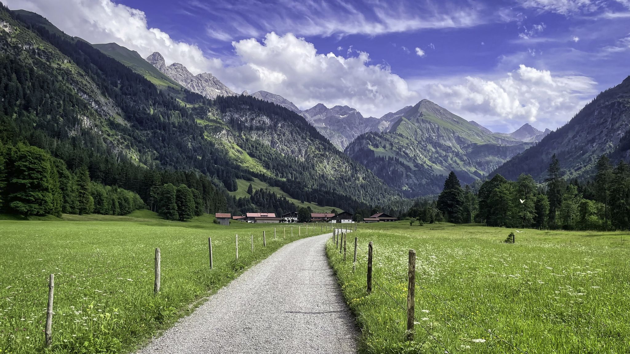 Blick zurück 🤩