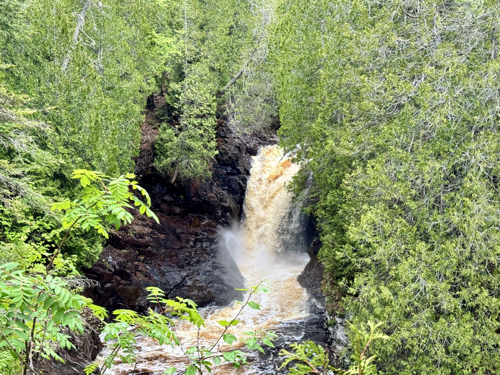 Muddy waterfall cascading into a rocky gorge, framed by vibrant green trees. - Superior Hiking Trail: Caribou Trail to Cascade River State Park