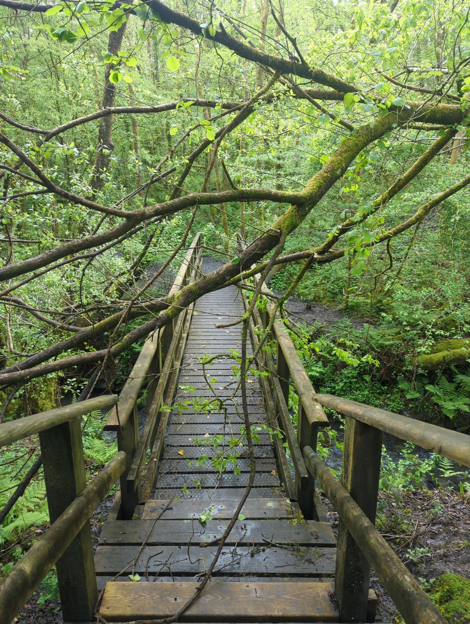 minor obstacle
