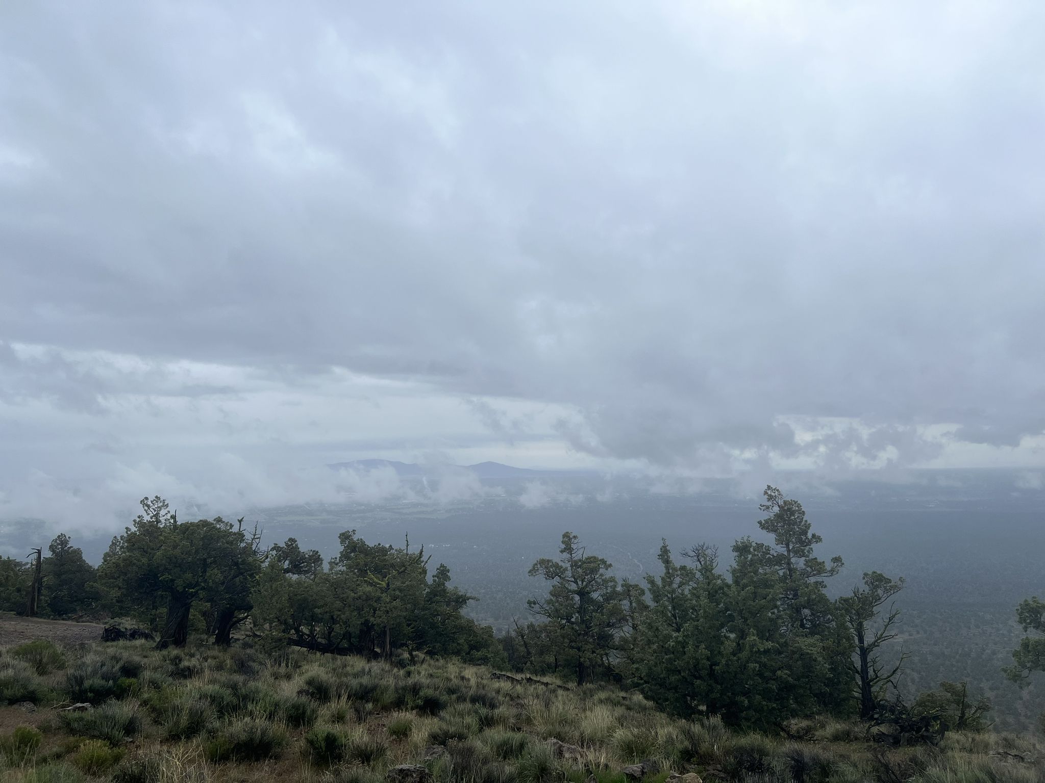 Overcast, misty view of a brushy hillside with distant, obscured mountains. - Cline Buttes Trails near Bend, Oregon