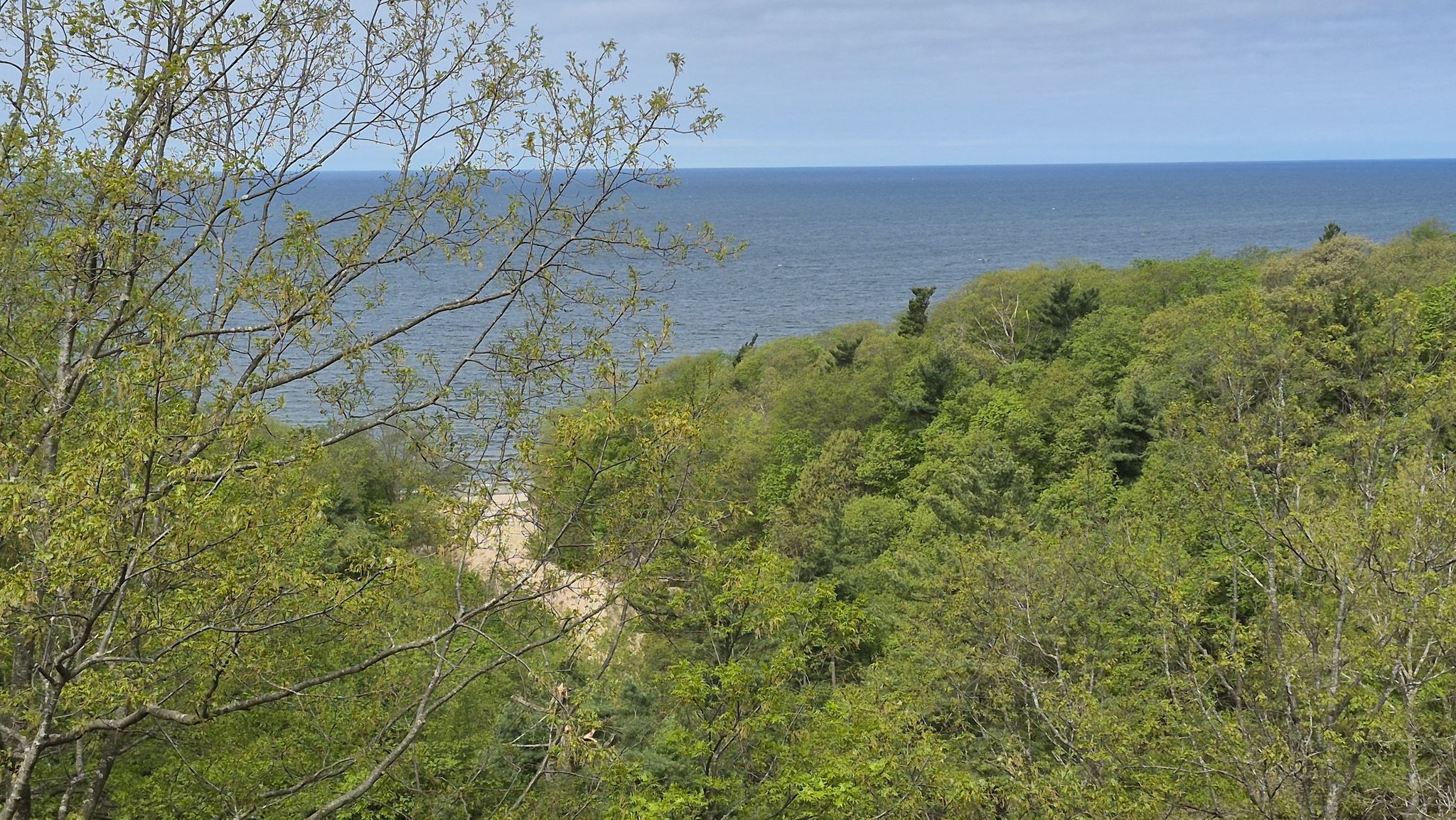 Dense green forest overlooks a vast blue ocean under a bright sky. - Honeymoon Trail