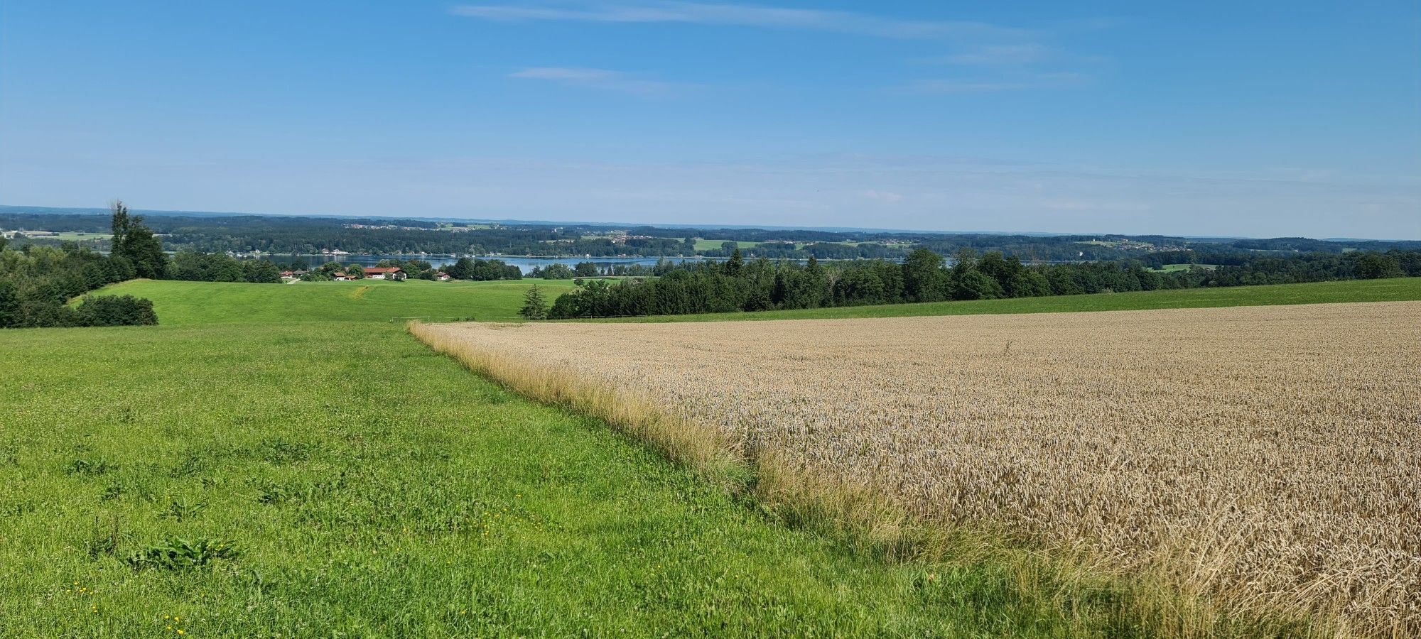 Blick auf den Simsee