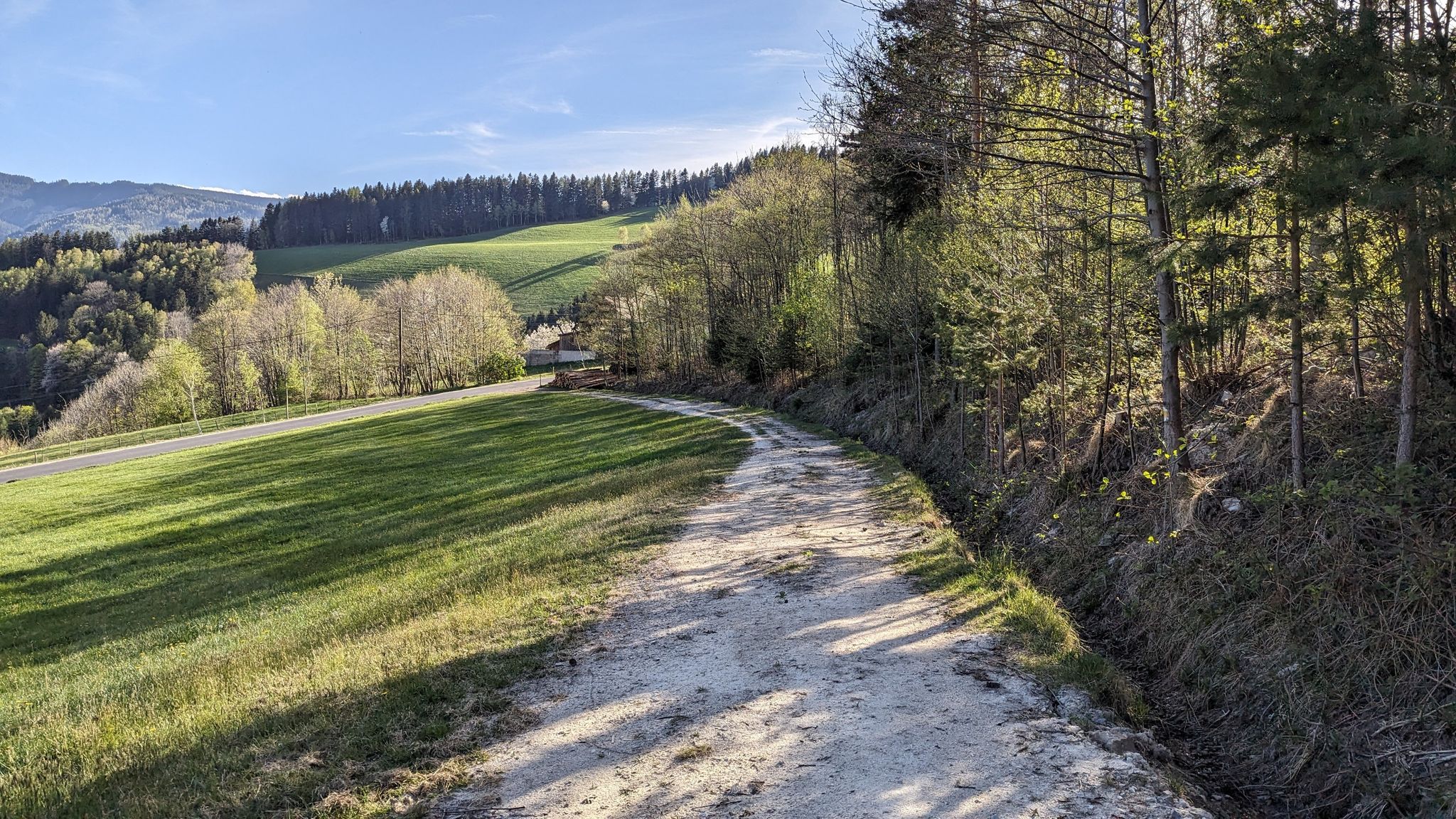 ... nun sind wir heraußen vom Wald und gehen Richtung Hinterotter auf der Straße nach links...