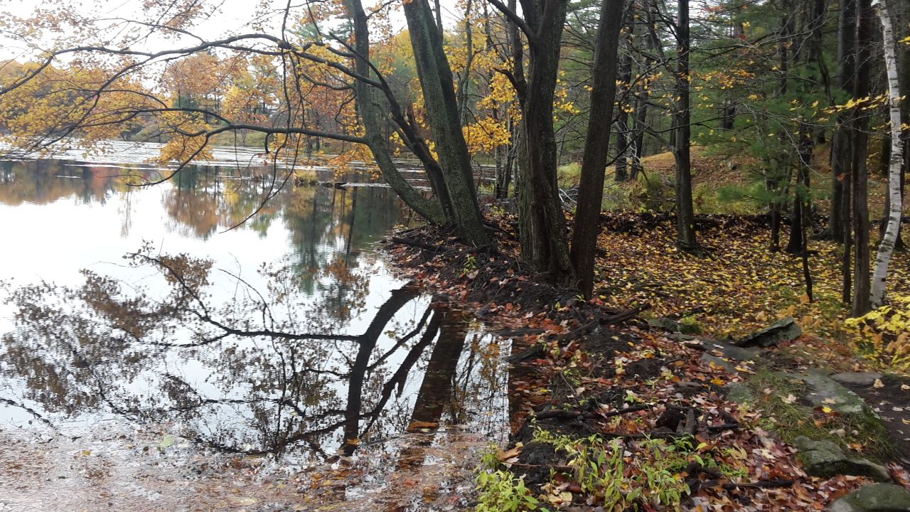 big S beaver dam