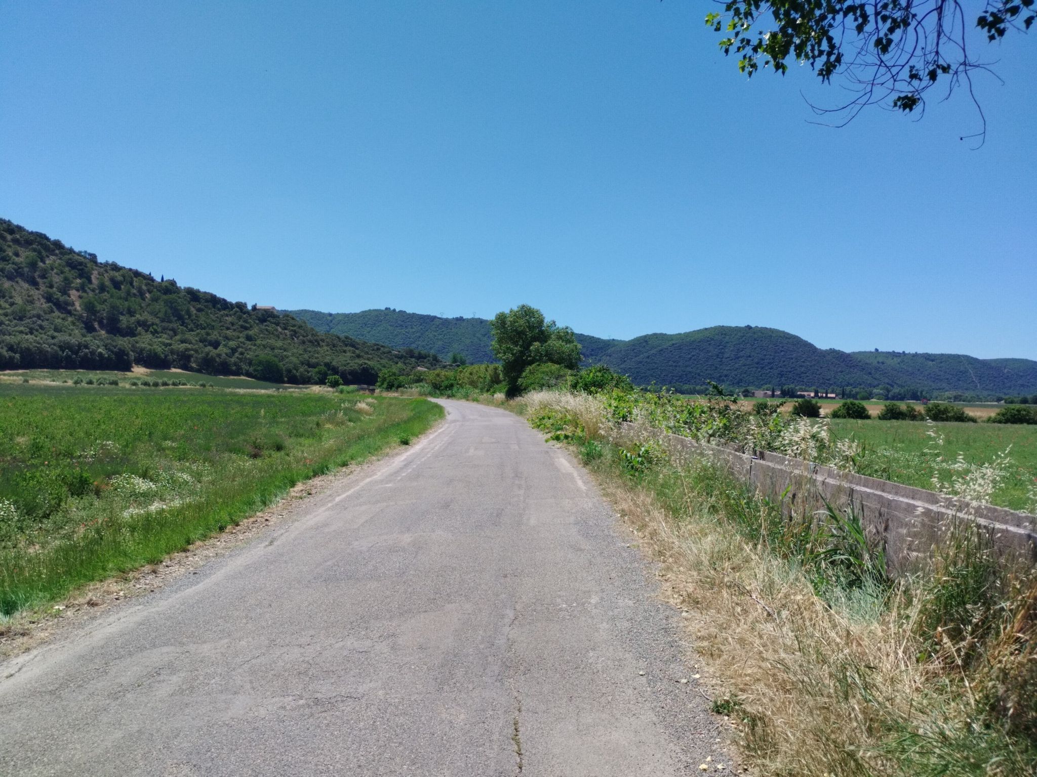 kleine Straße und Hochebene von Valensole