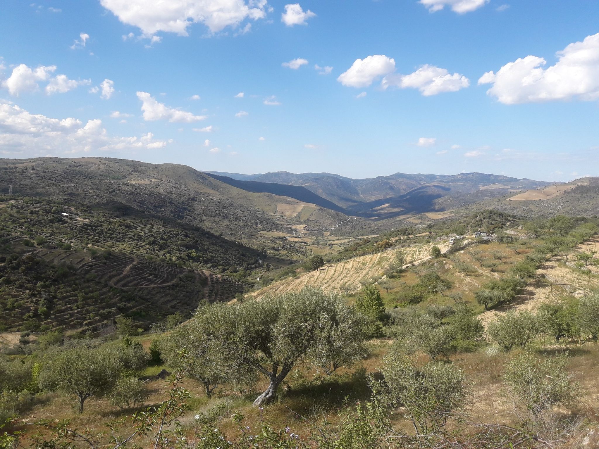 view over valley of murca