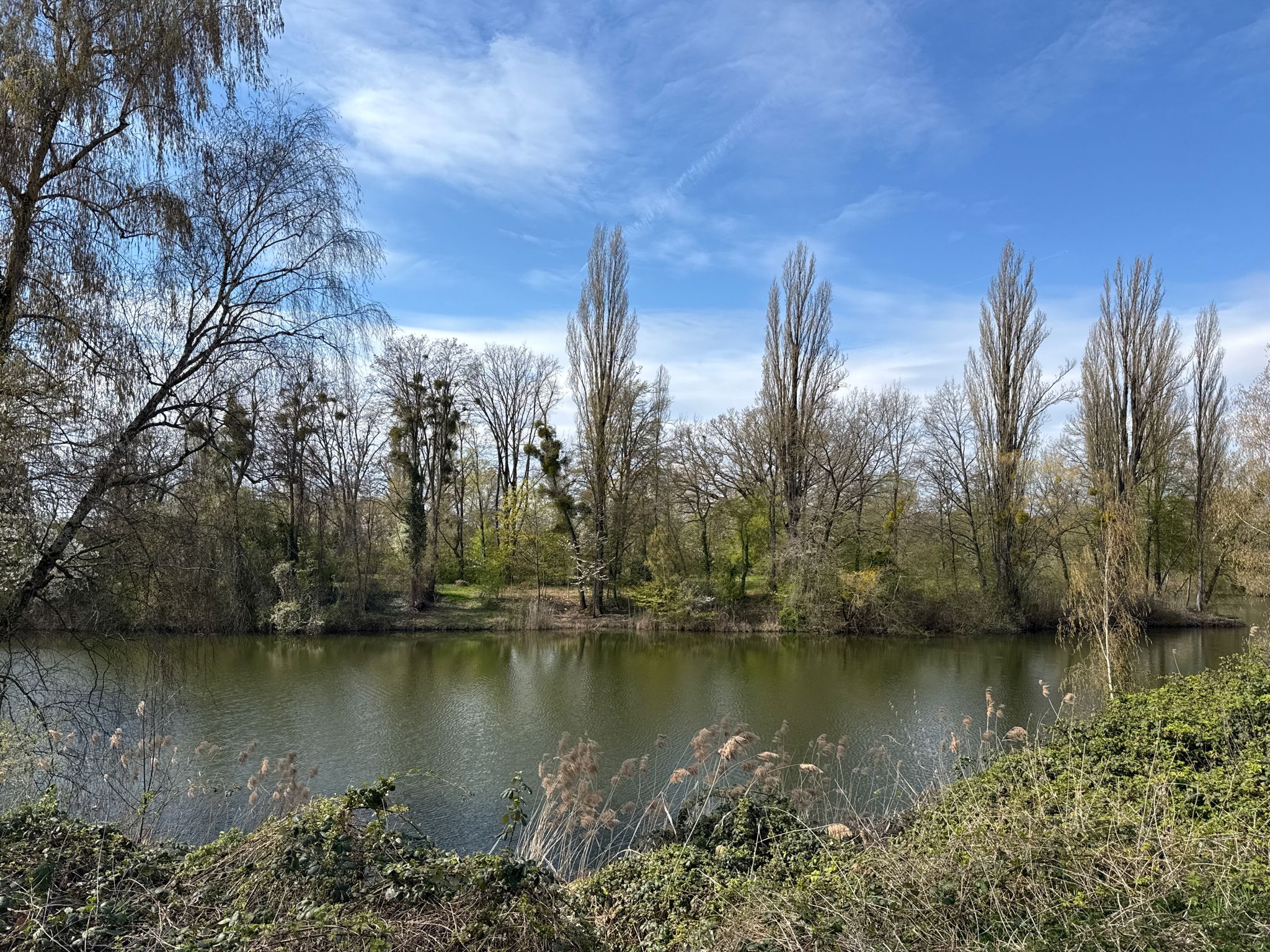 der Müllersteich